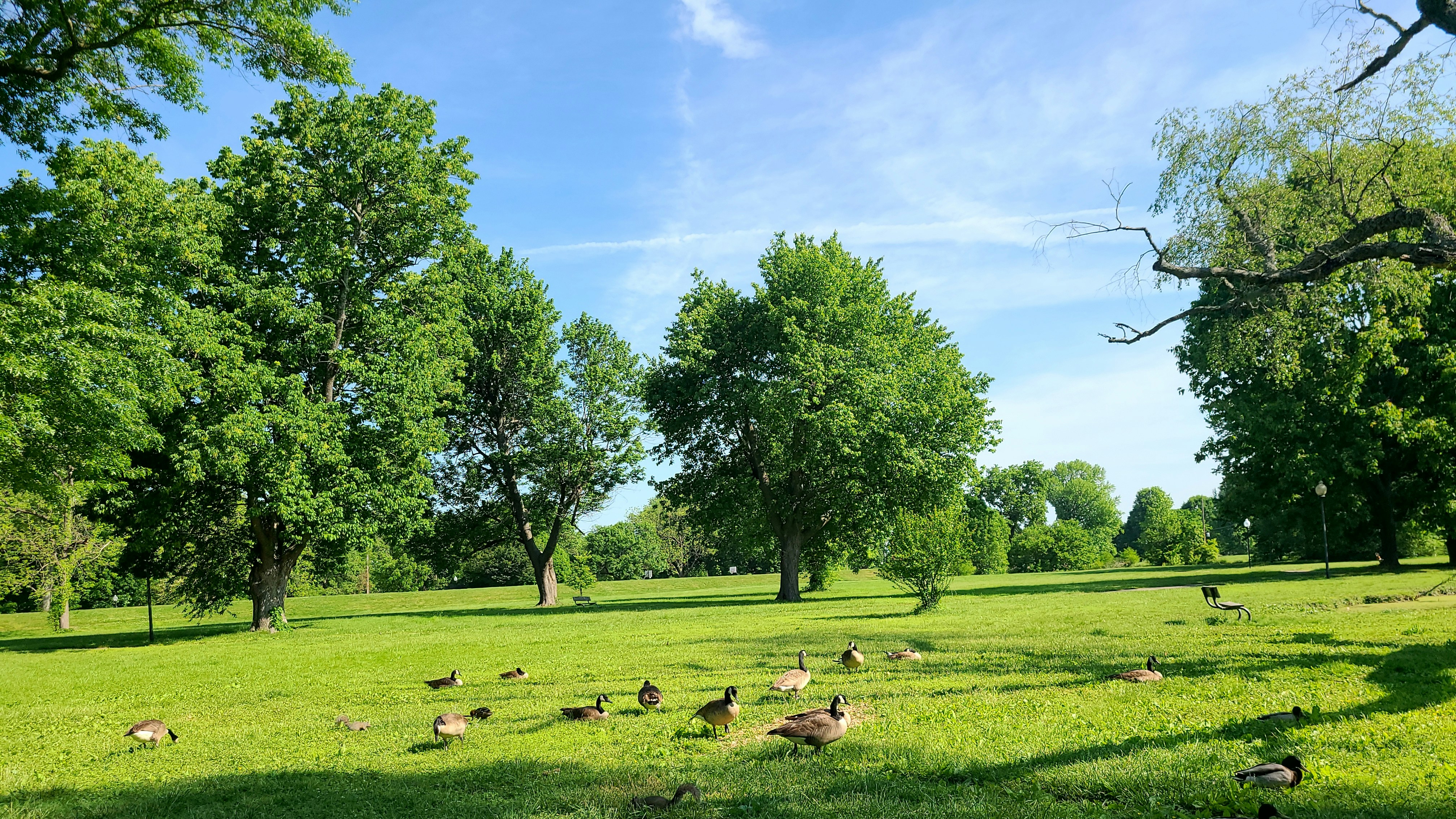 Trivia nights in Louisville, United States