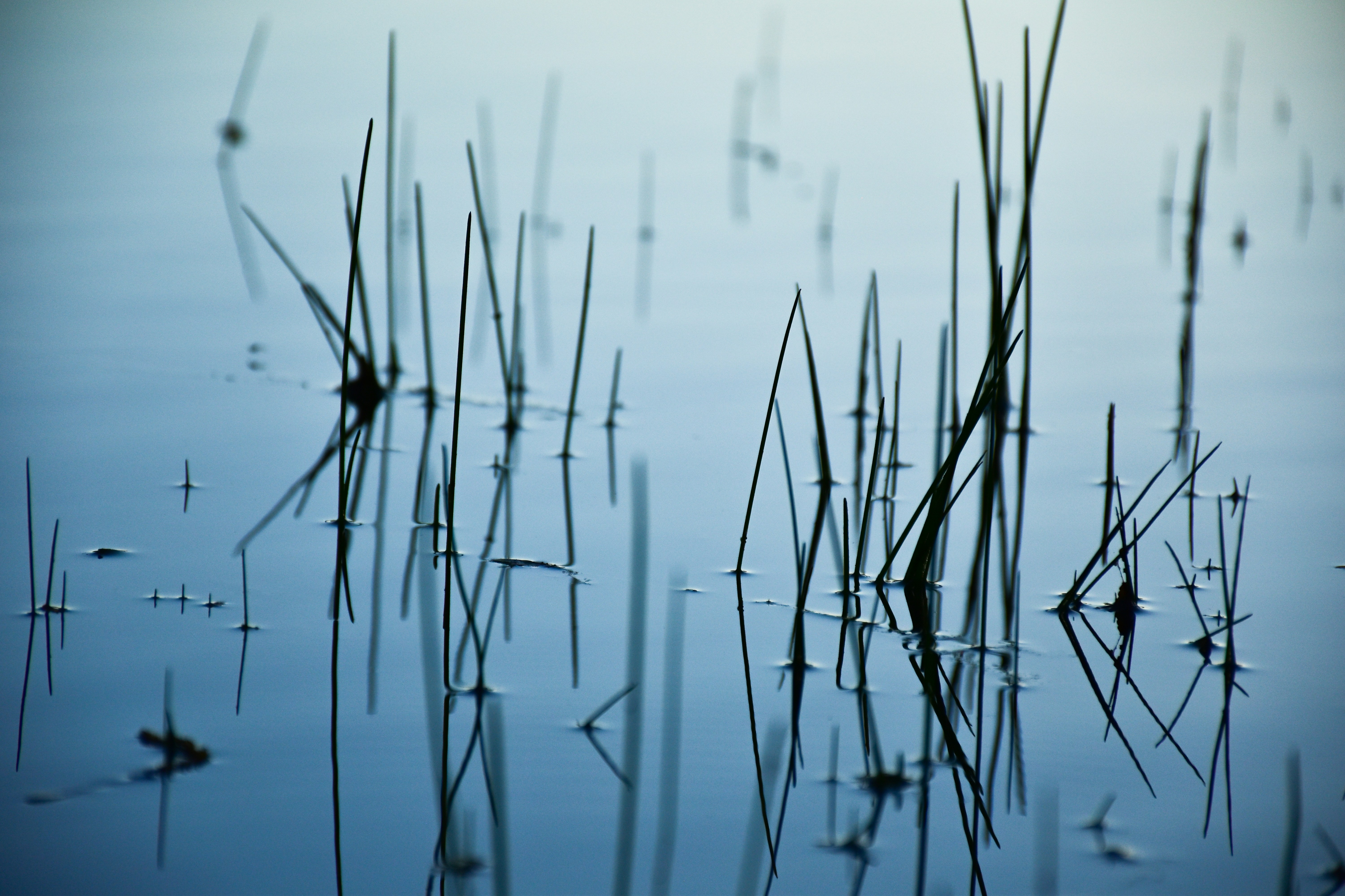 Photo by jasonmphoto