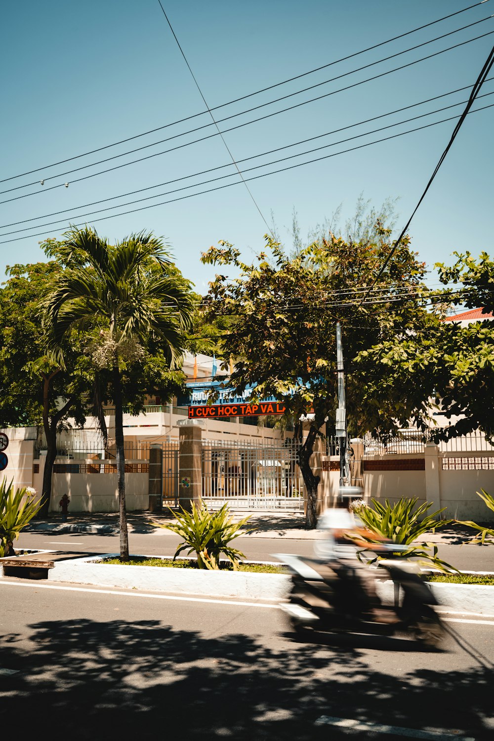 a motorcyclist riding down a street with palm trees