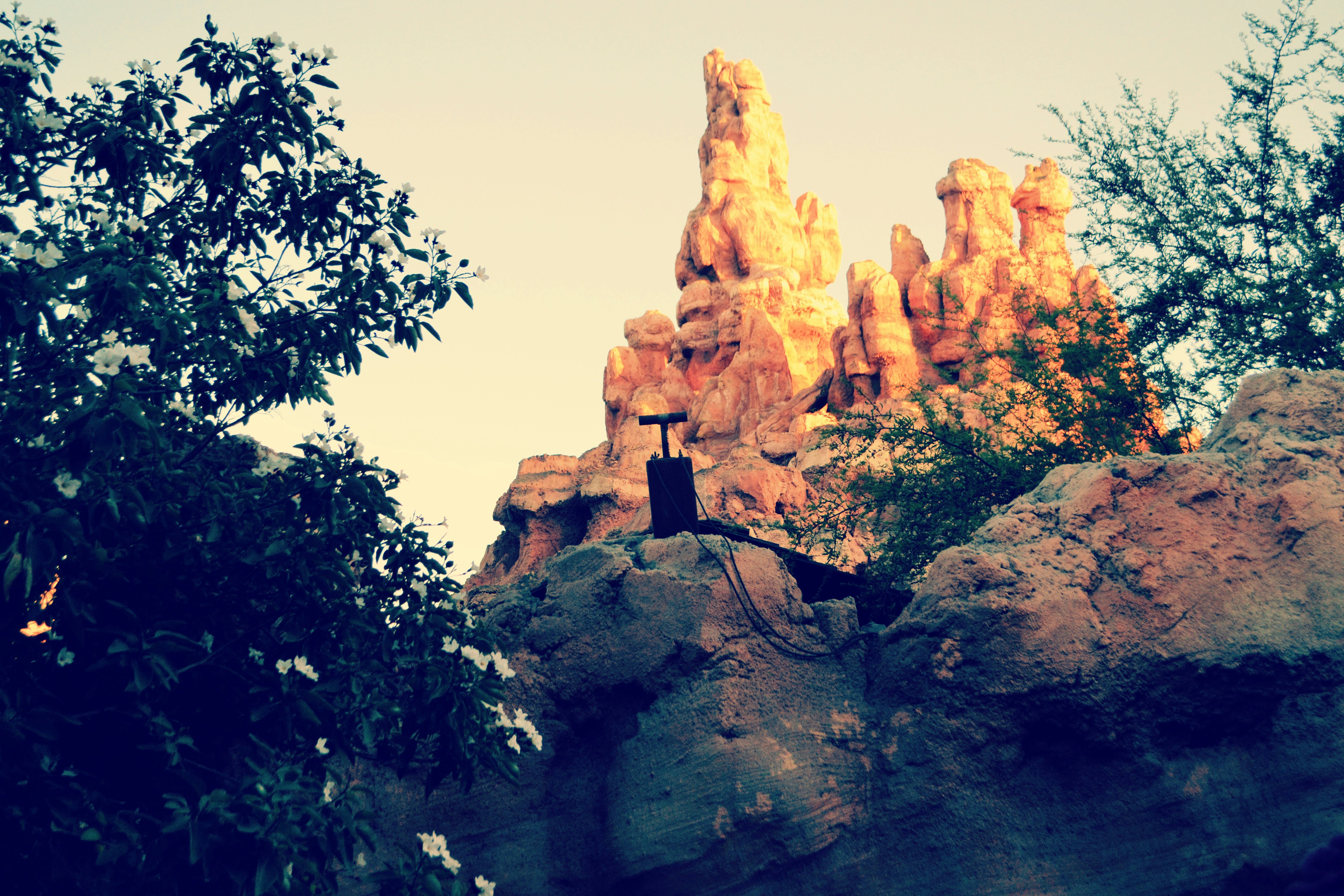 Photo by punkrockhippy_