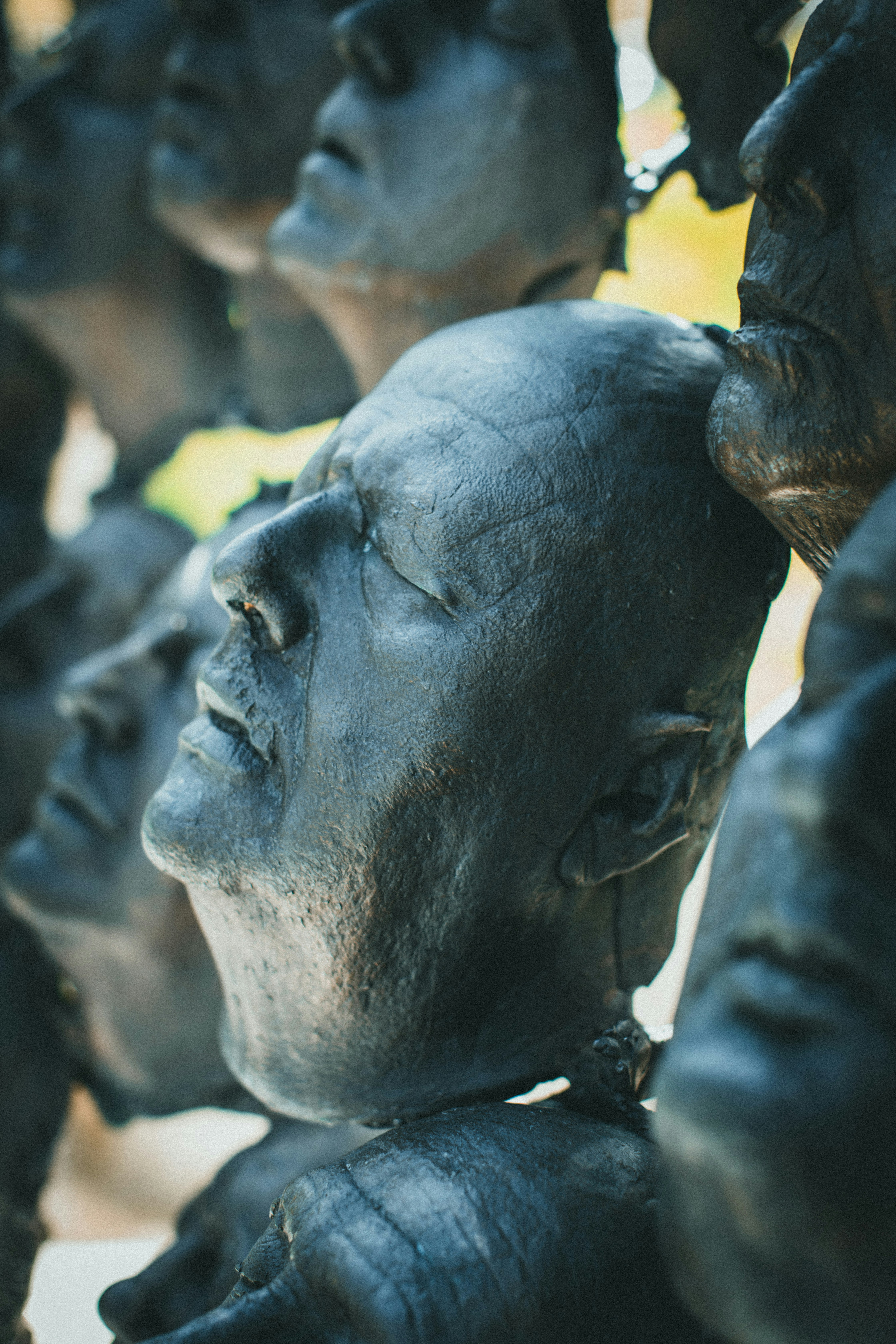 Photo by theshuttervision