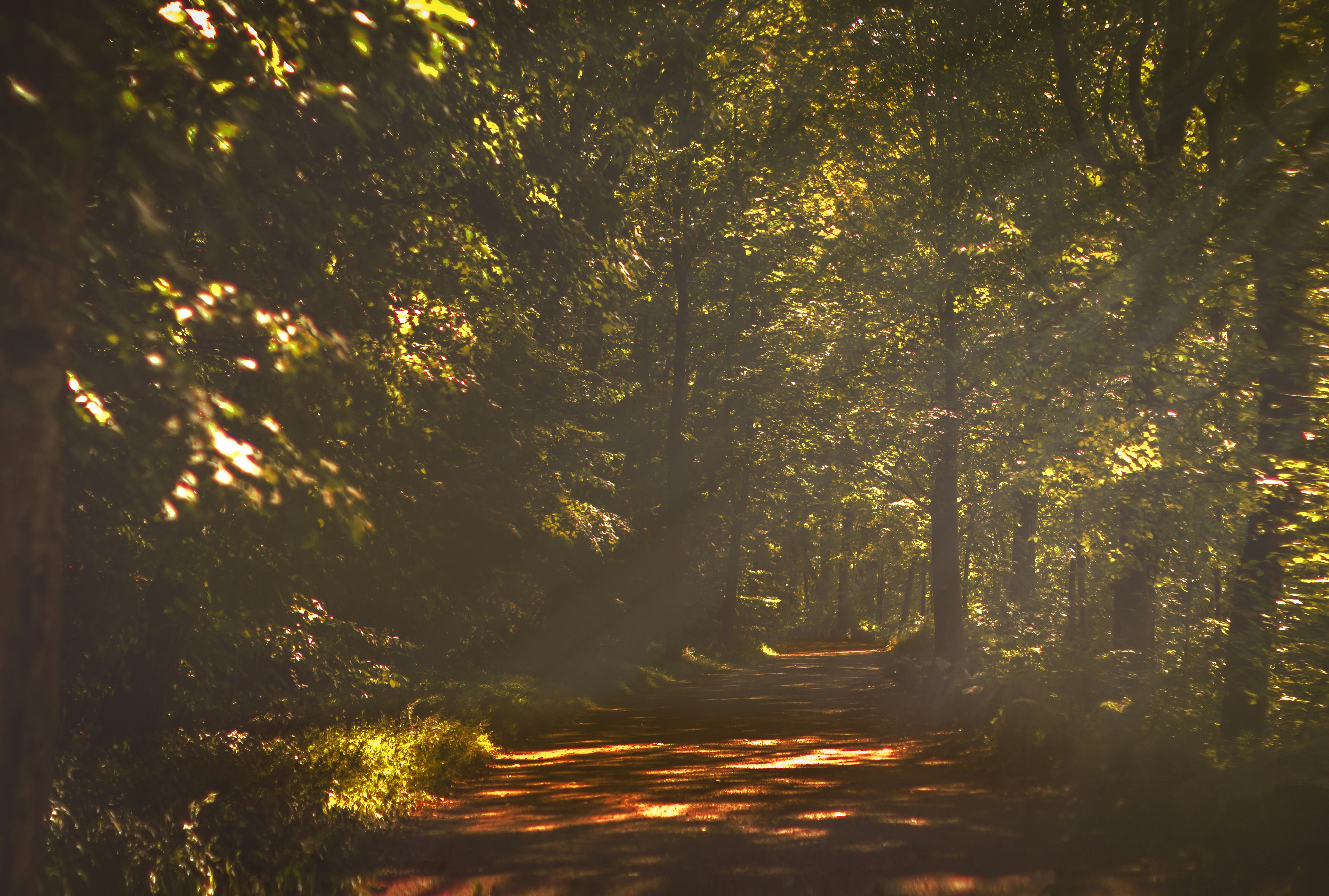 Photo by emmanuelphaeton