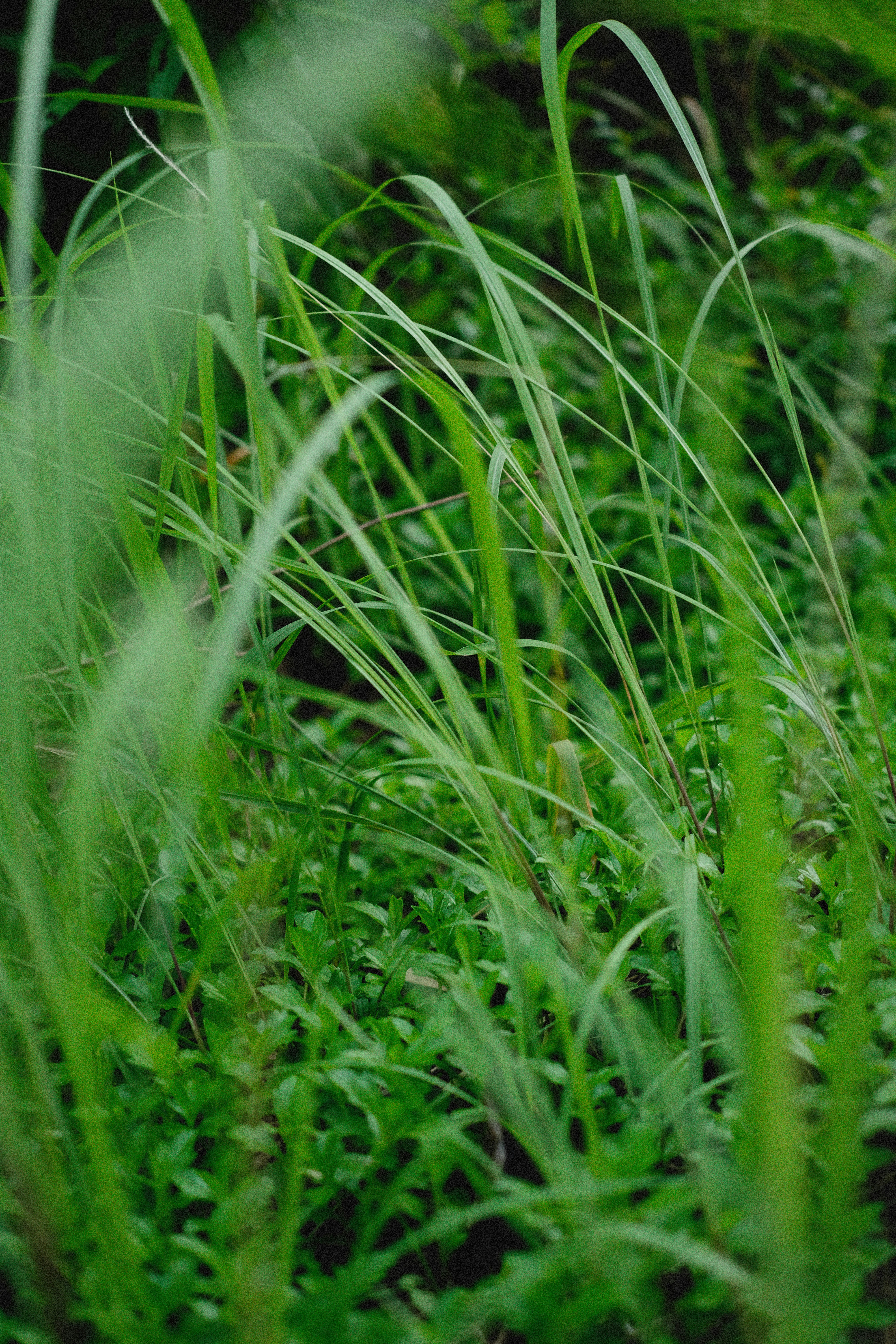 Photo by alexeydemidov