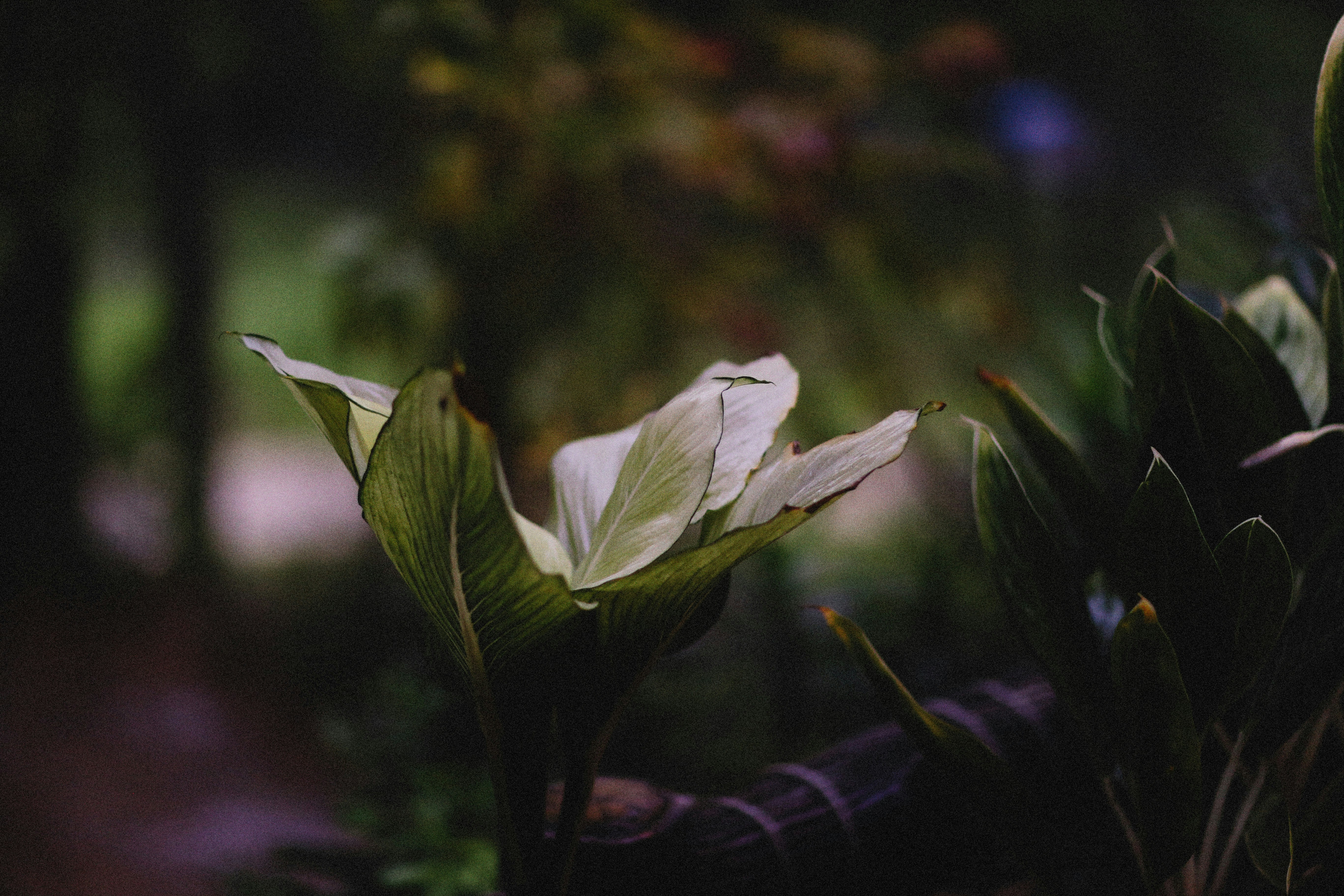 Photo by alexeydemidov