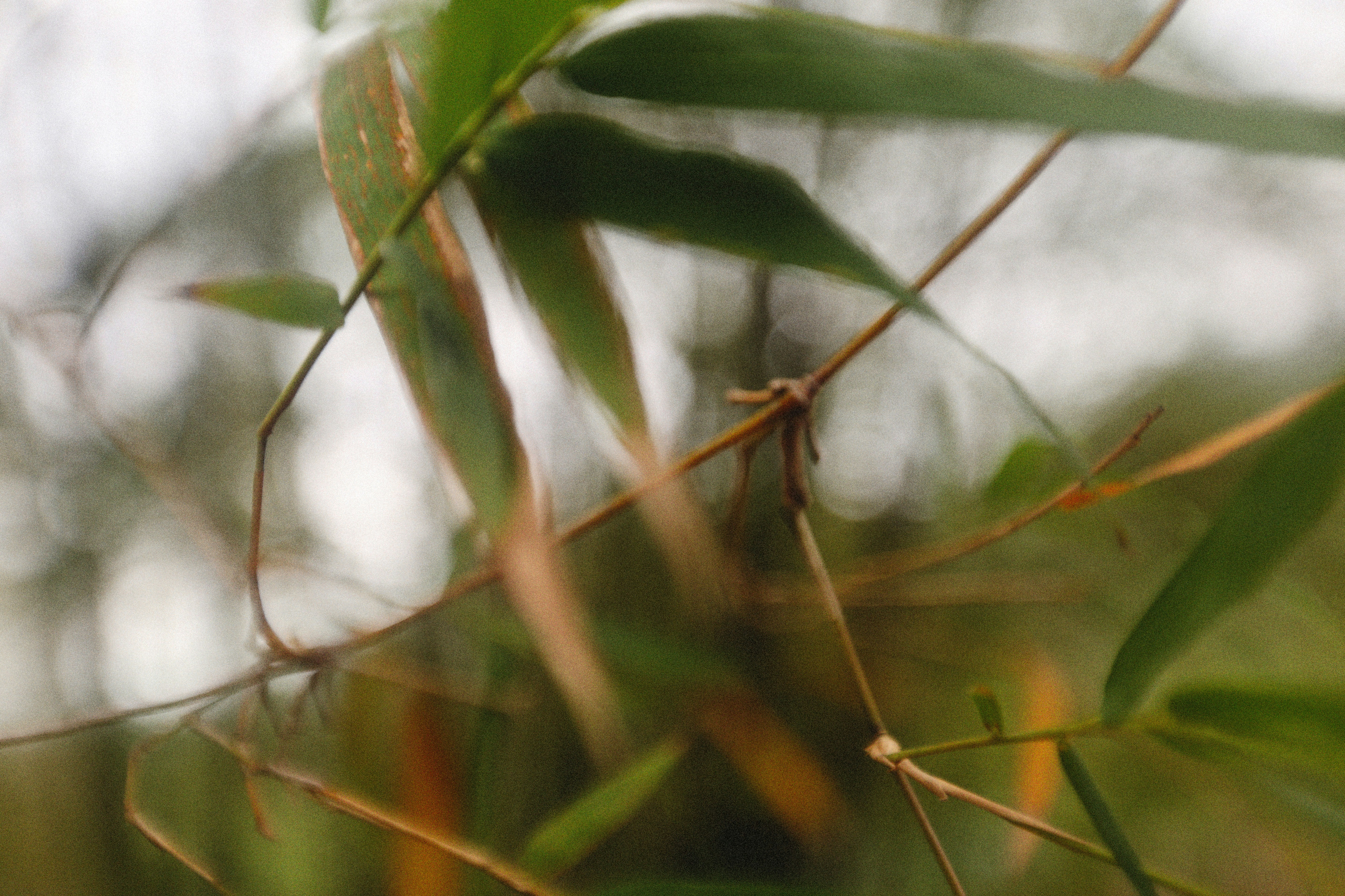 Photo by alexeydemidov