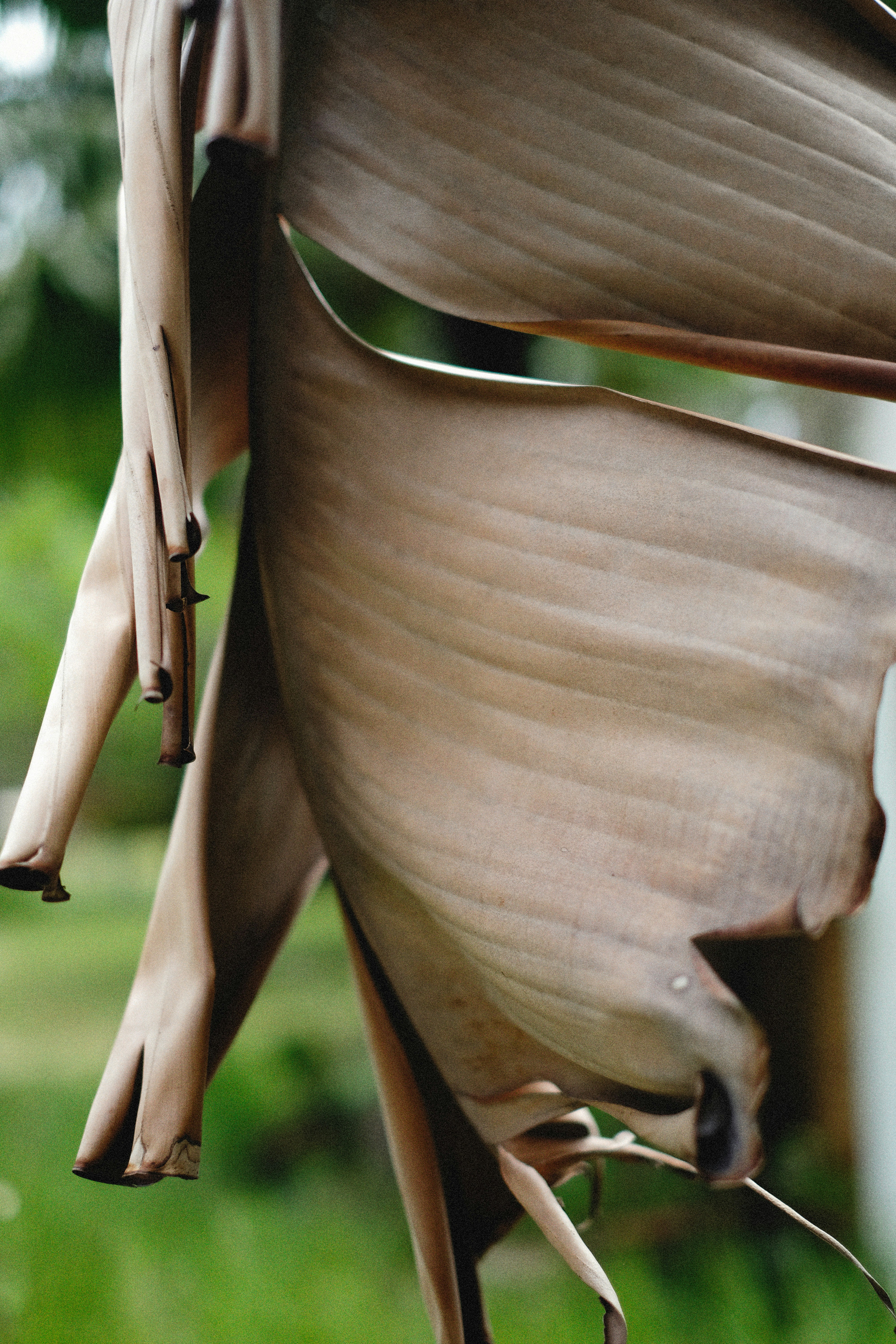 Photo by alexeydemidov