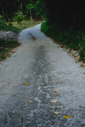 Wide shot of a freshly compacted natural pavement pathway surrounded by greenery.