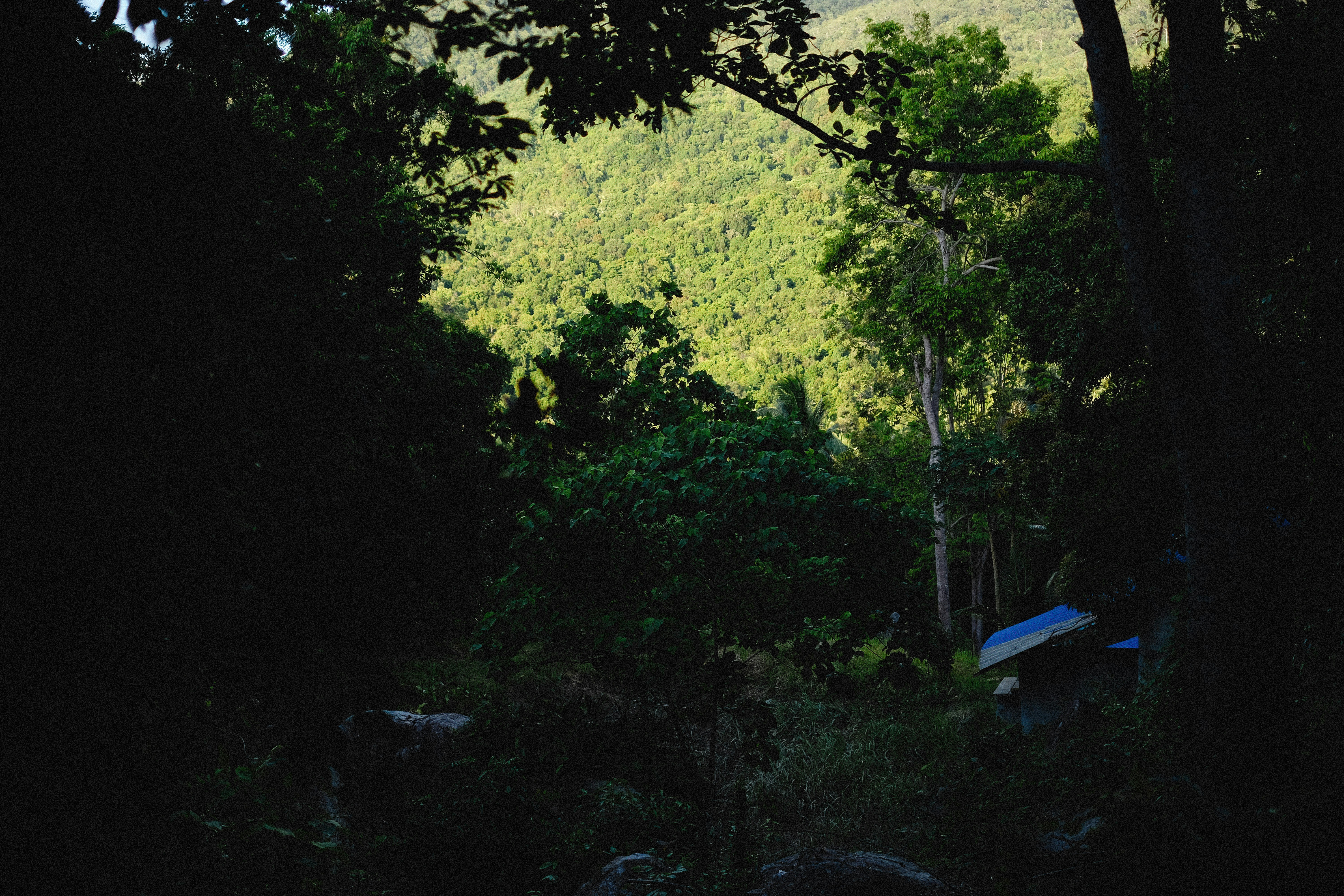 Photo by alexeydemidov