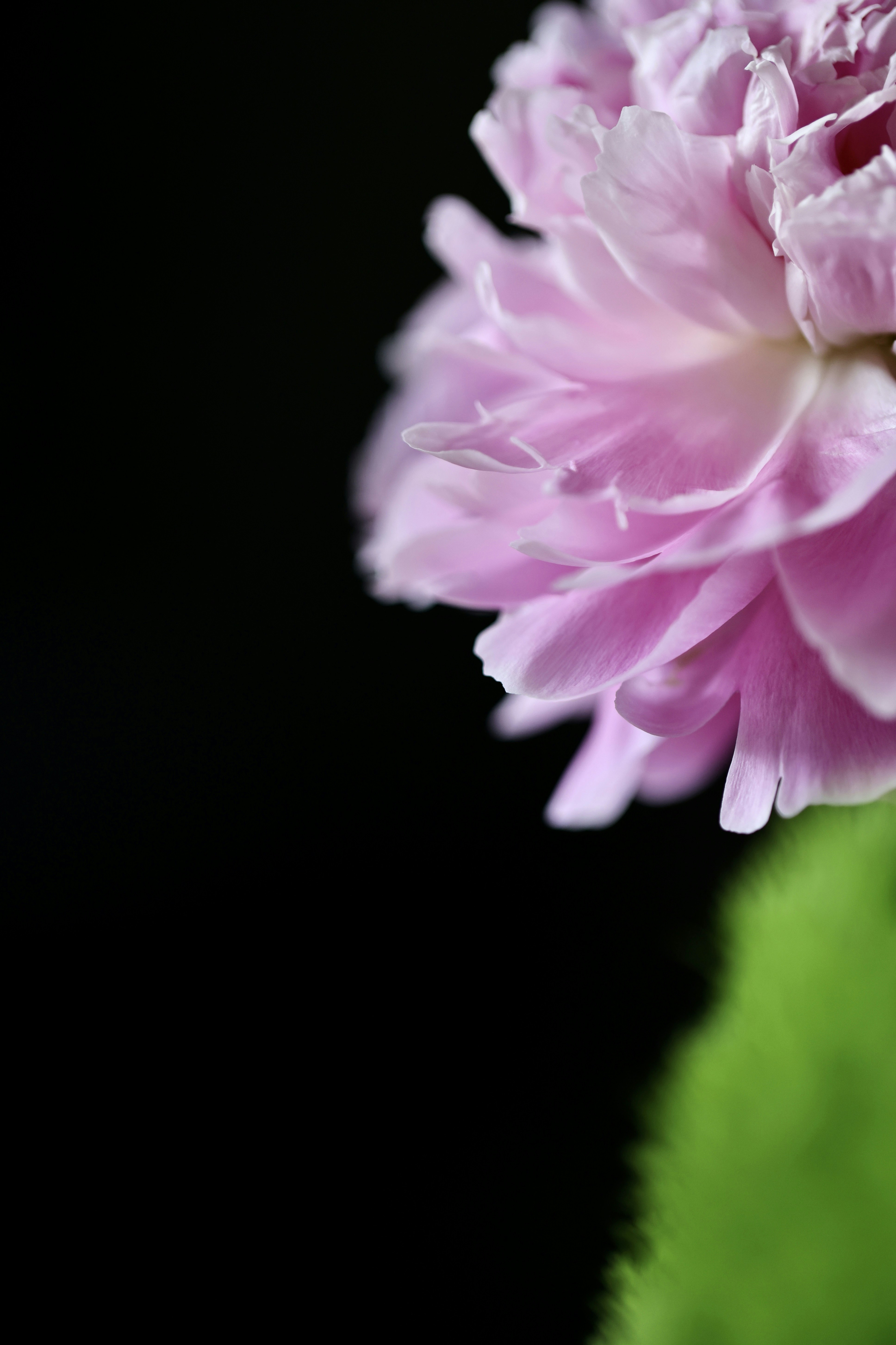 Photo by dickenslin76