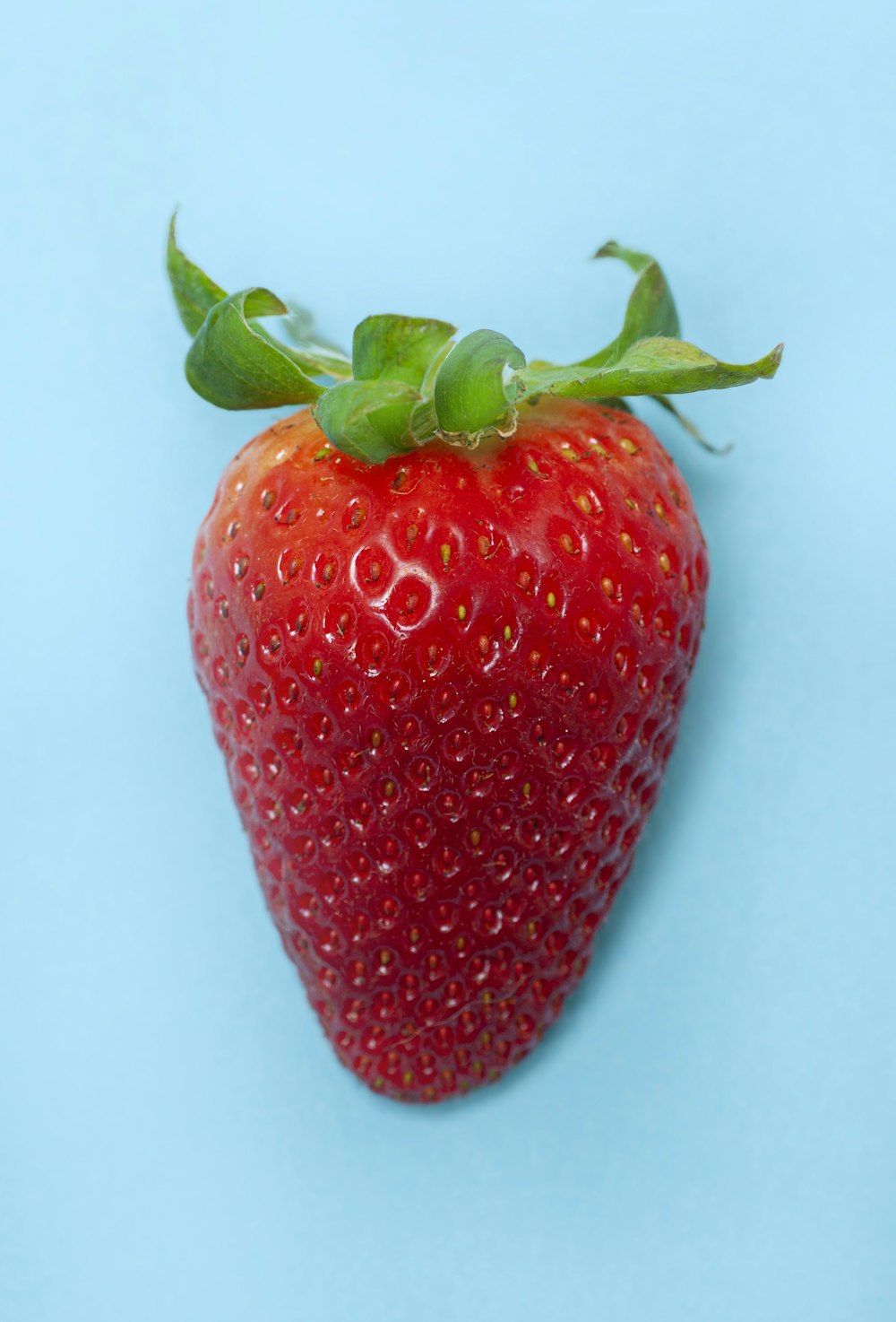 a close up of a strawberry on a blue background