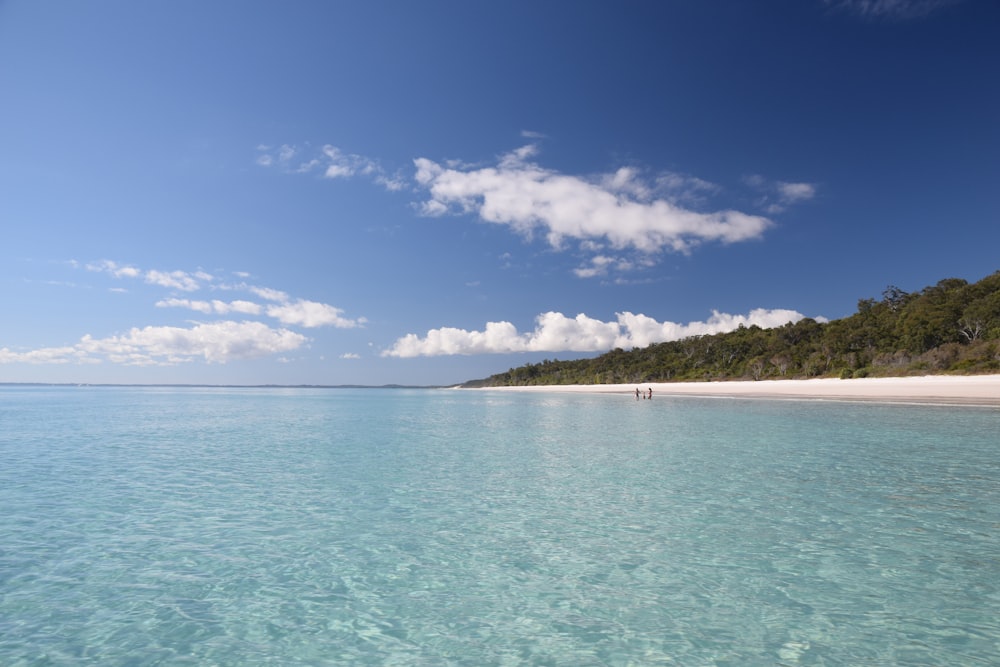 a body of water with a beach in the background