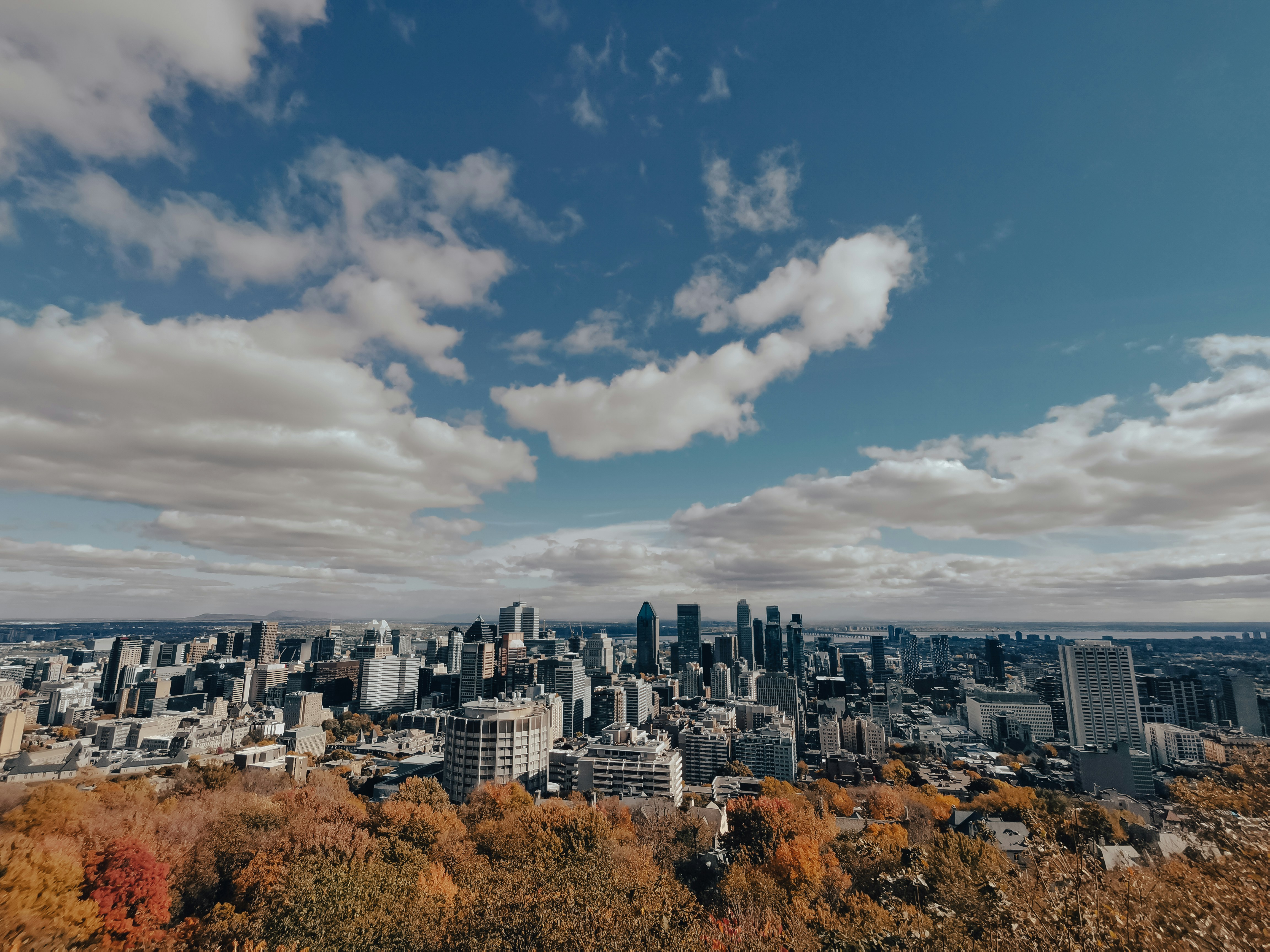 a view of a city from the top of a hill