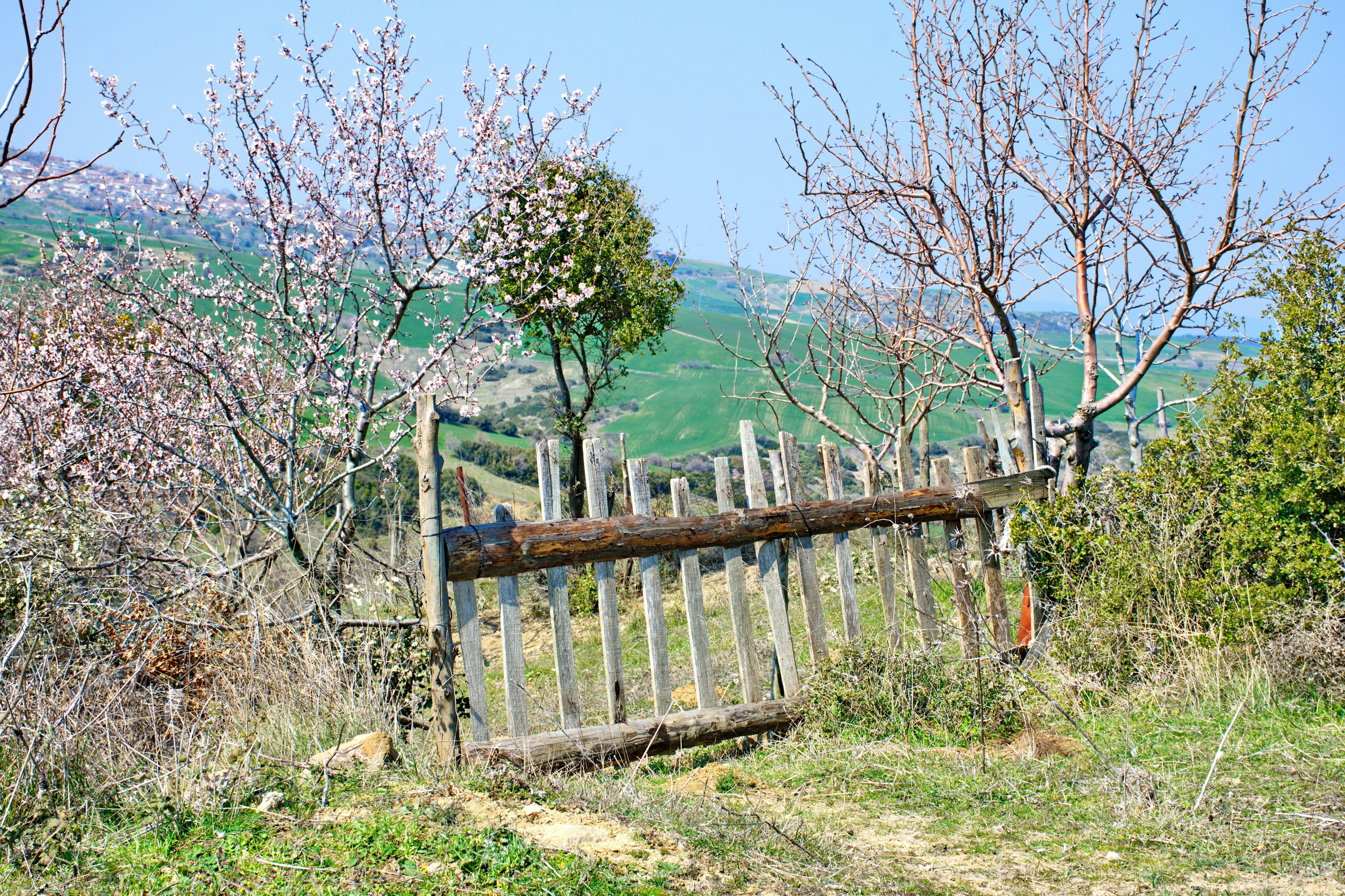 a wooden bench sitting on top of a lush green hillside