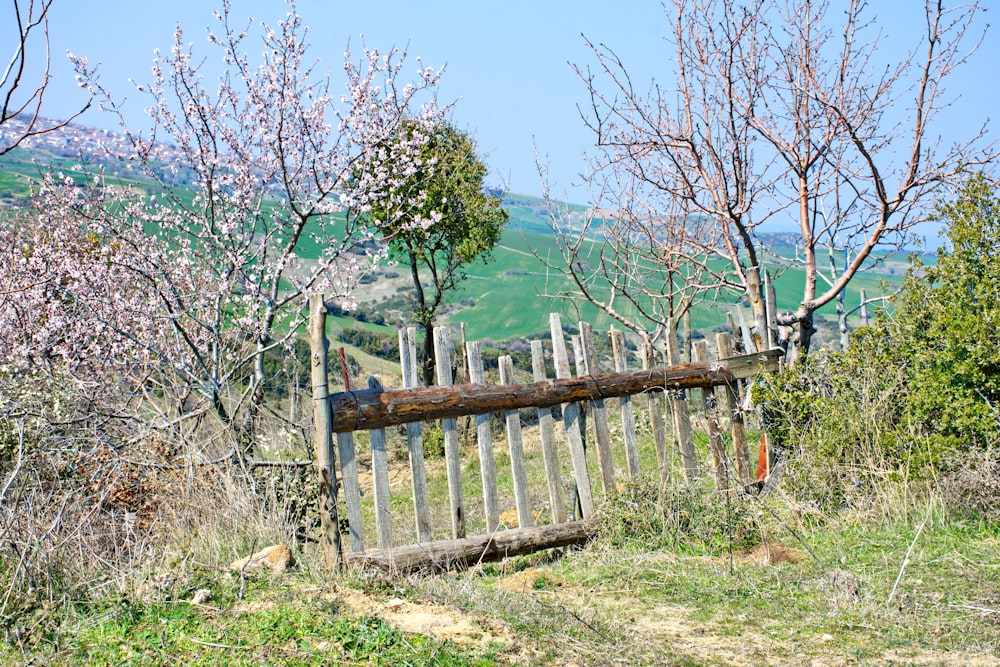 a wooden bench sitting on top of a lush green hillside