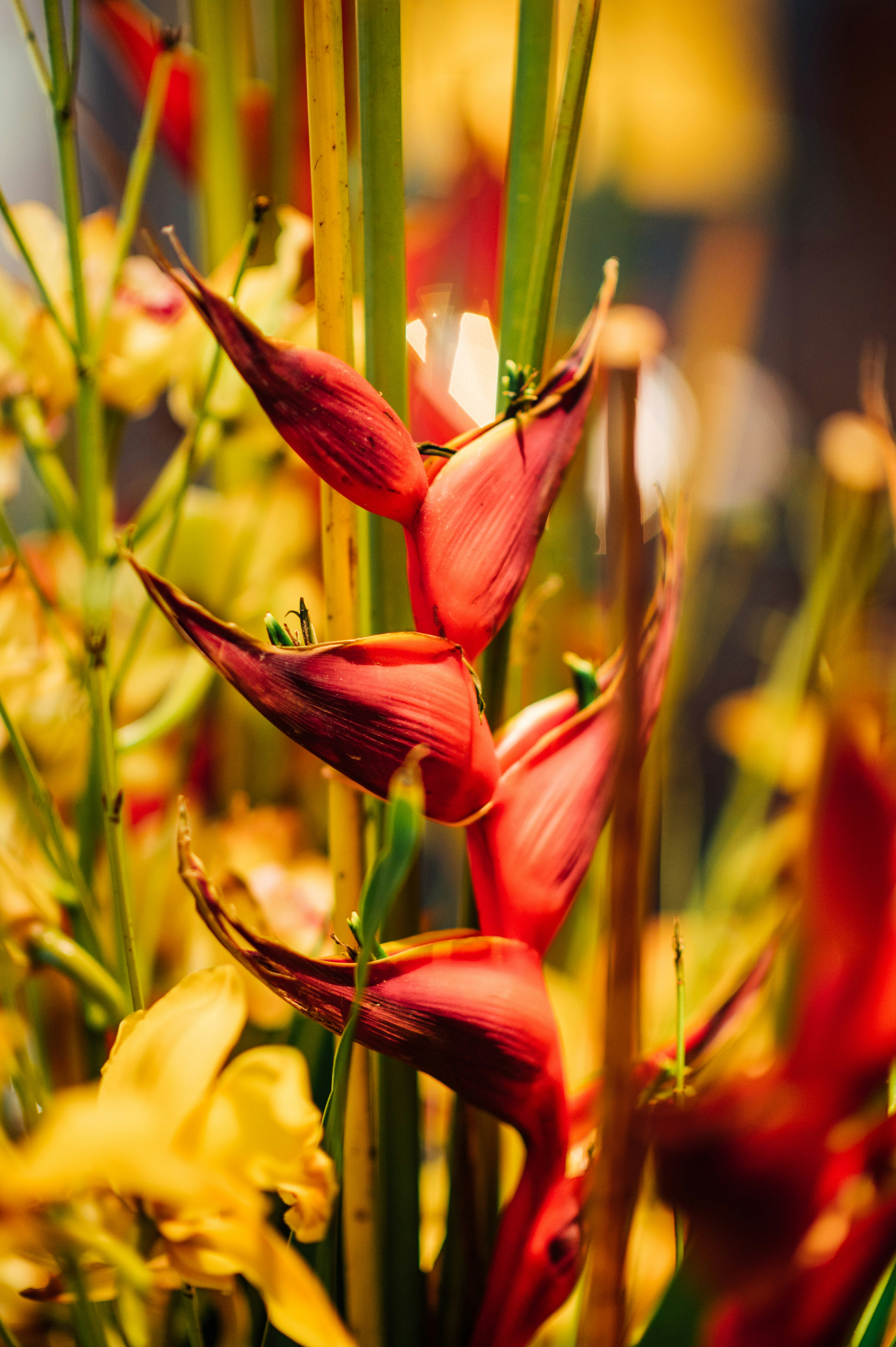 Photo by chuttersnap