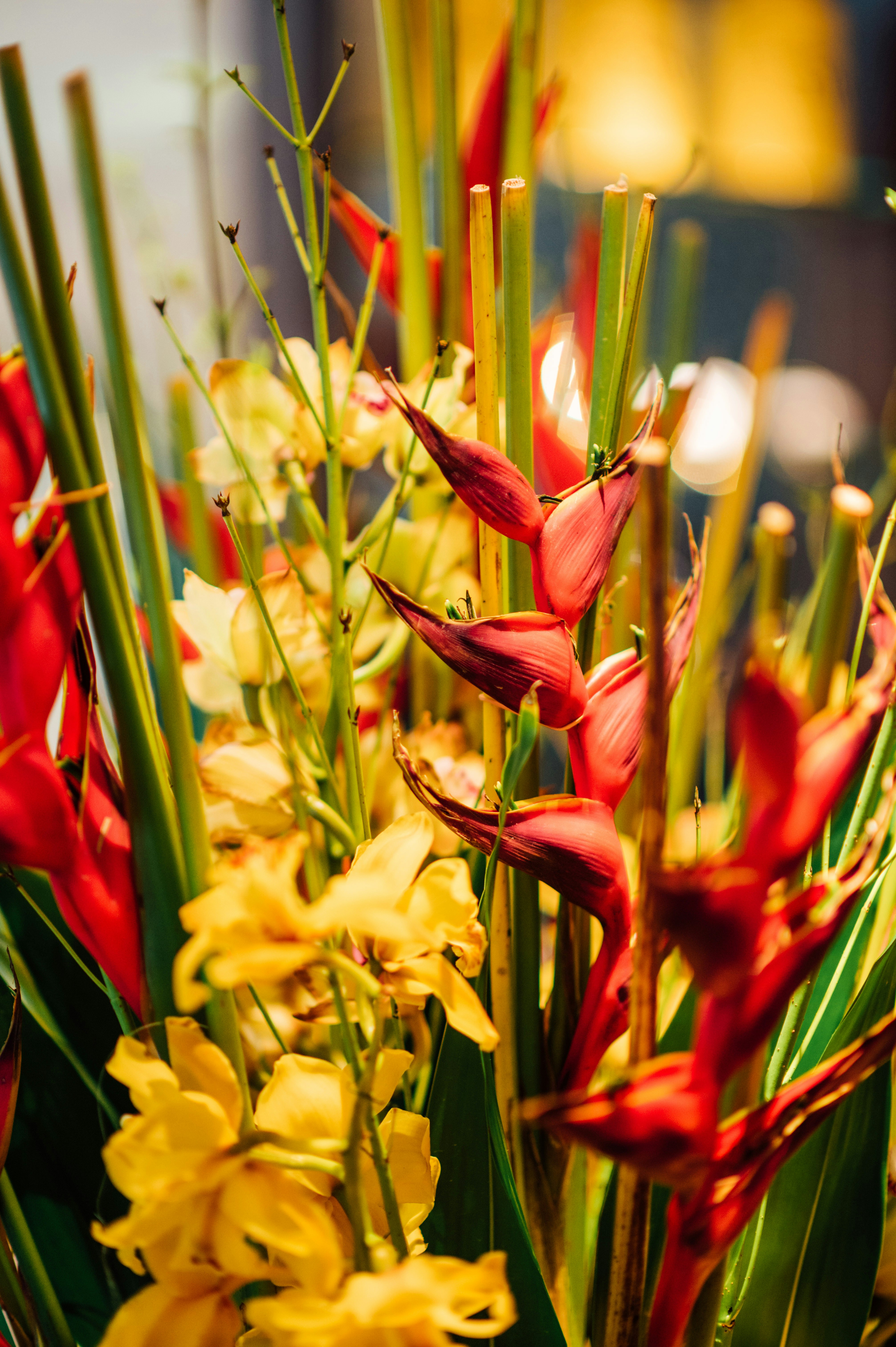 Photo by chuttersnap