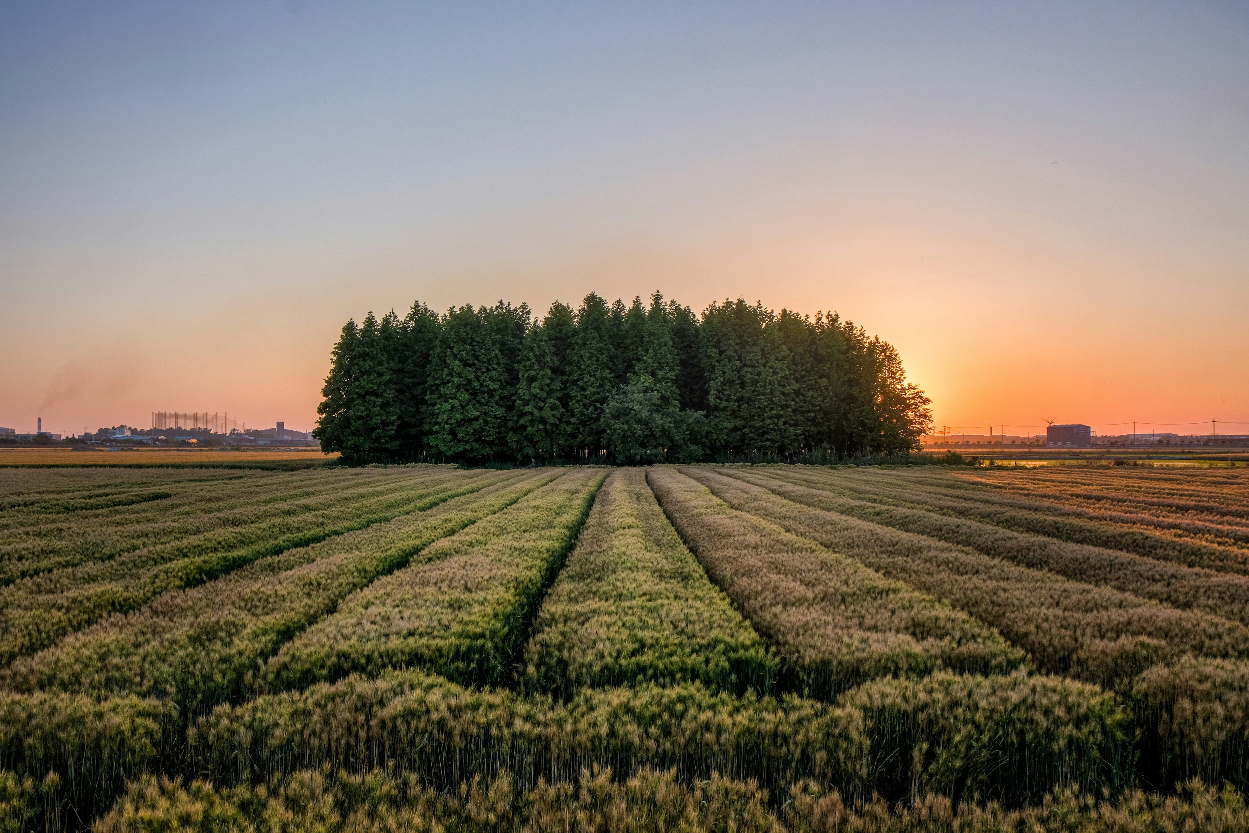 Photo by insungpandora