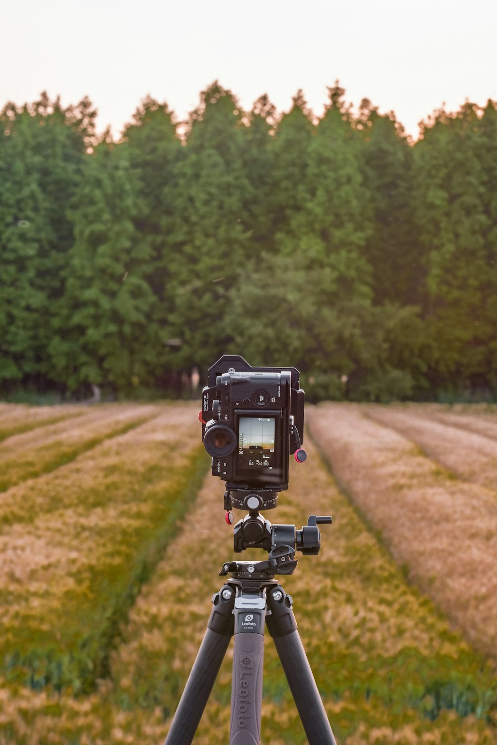 a camera on a tripod in front of a field