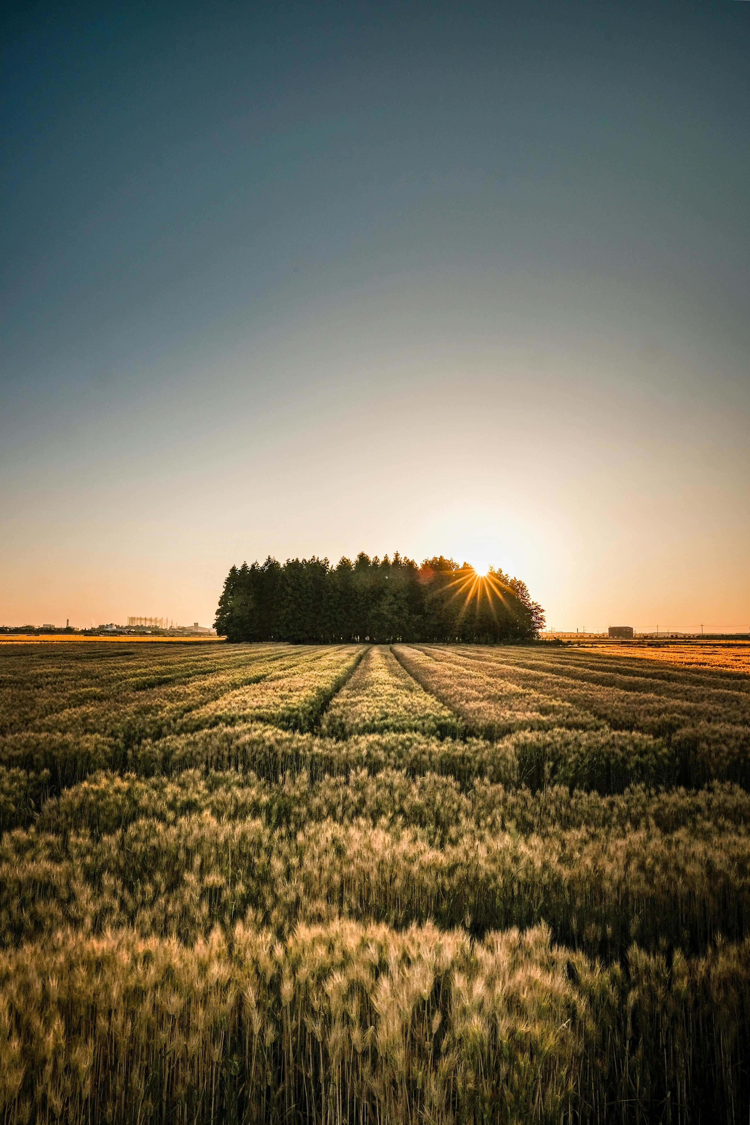 Photo by insungpandora