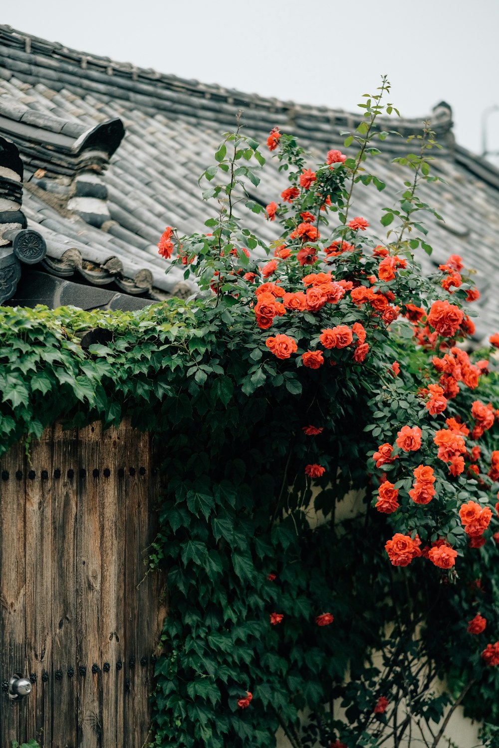 a wooden gate surrounded by vines and flowers