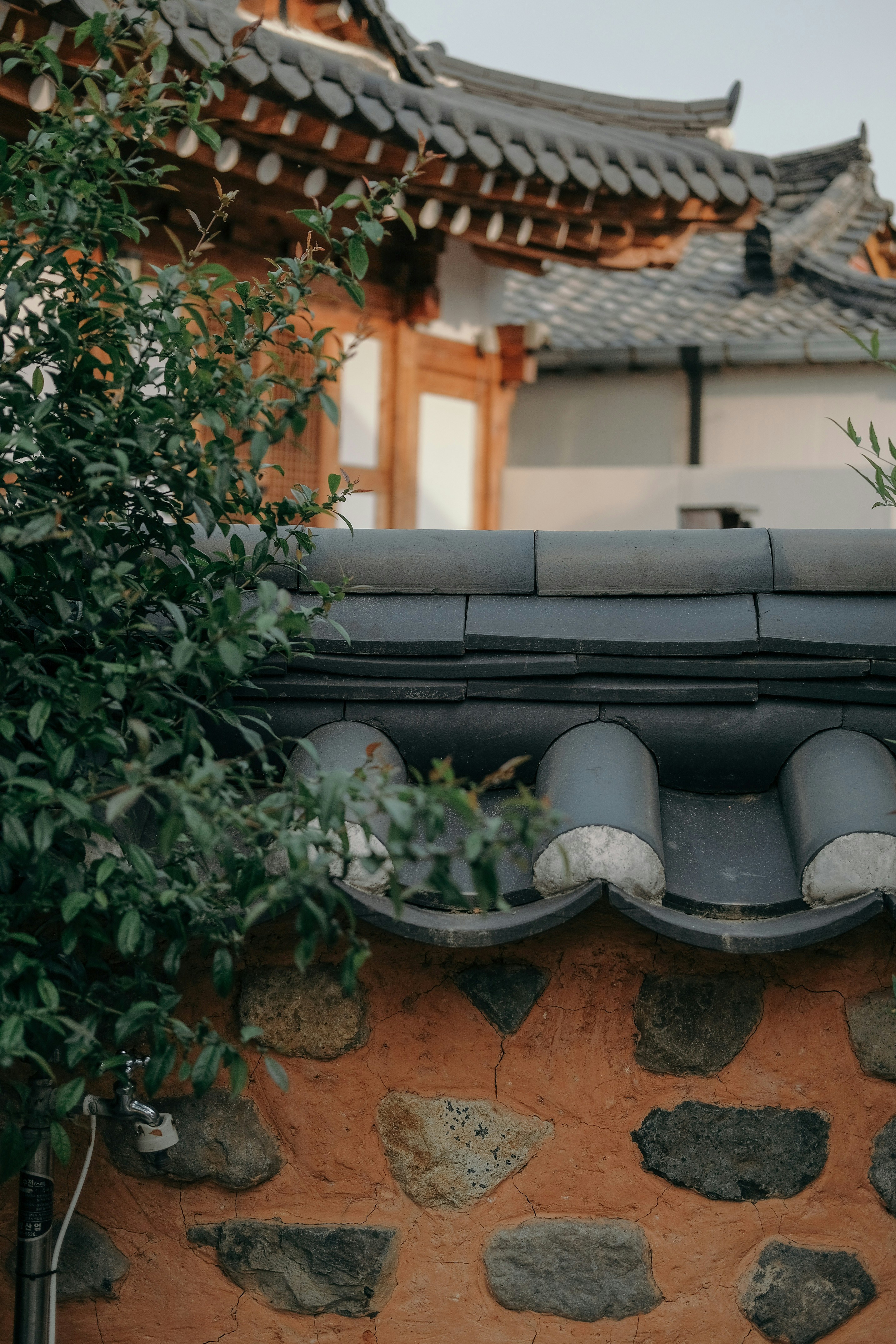 Day Trips from Gyeongju