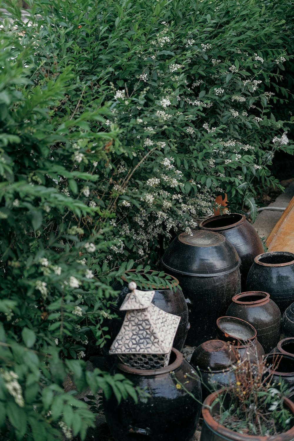 a bunch of pots that are sitting in the grass