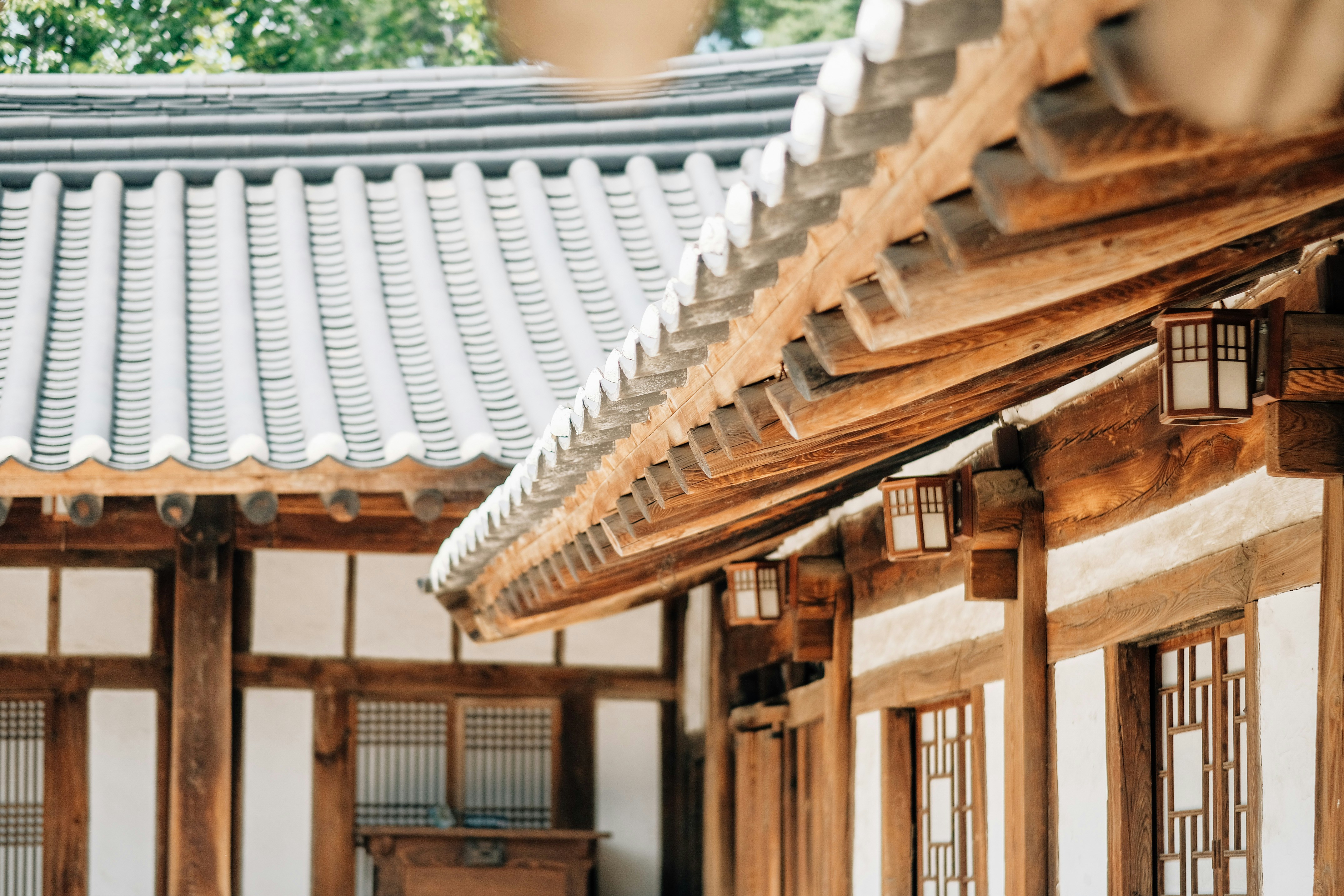 Photo by insungpandora