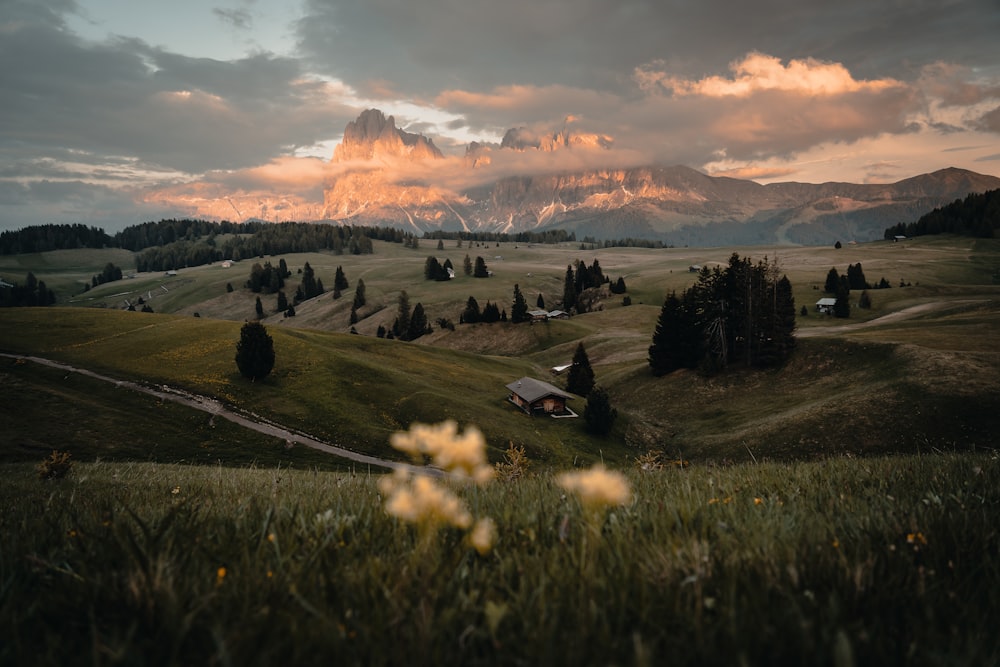 a field with a house and mountains in the background