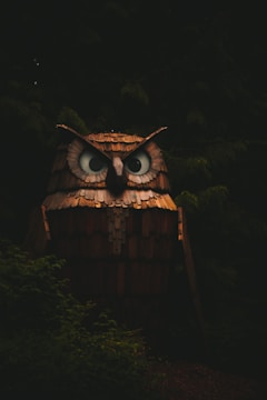 Wall art featuring an owl design with multiple wood layers and natural tones.