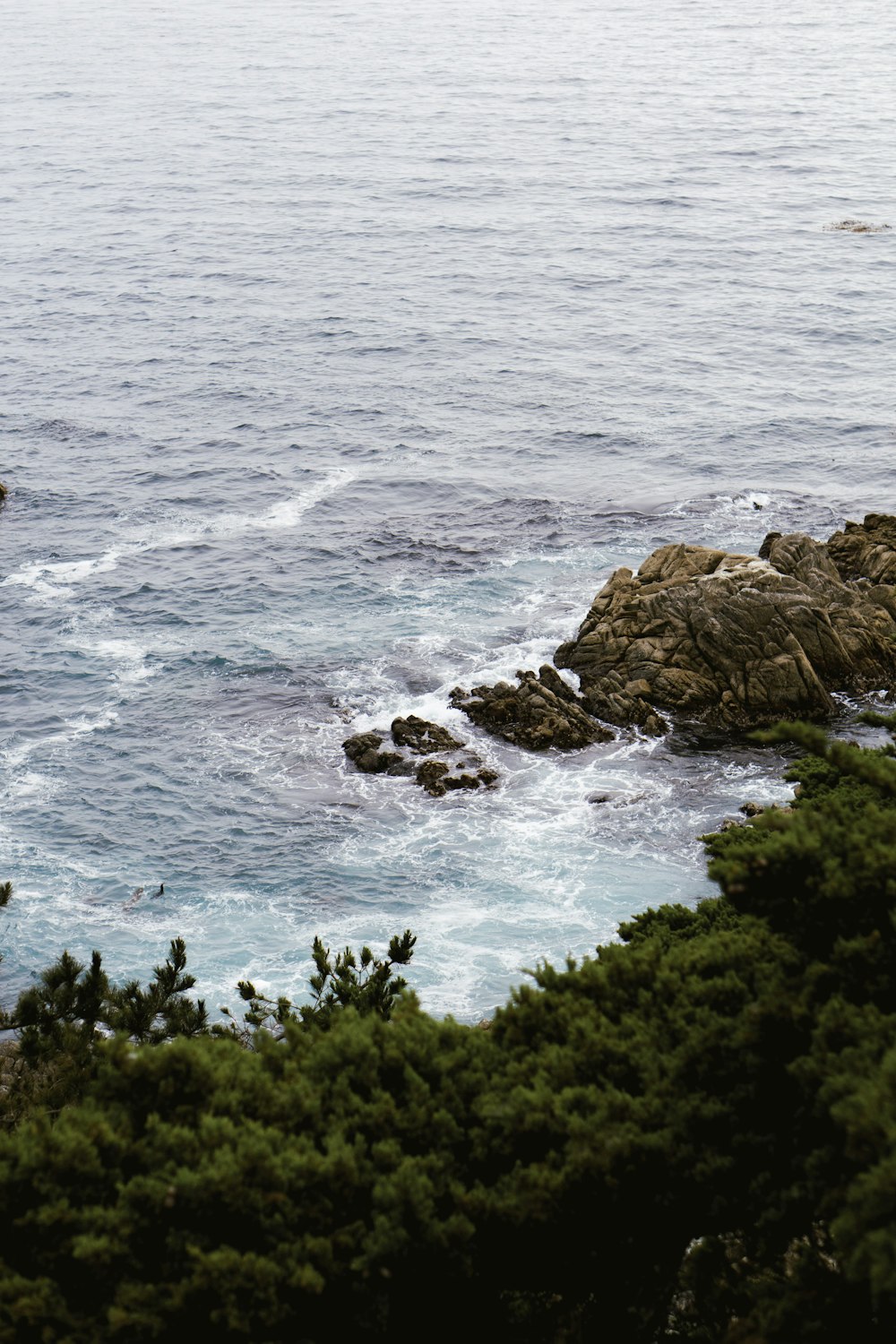 a couple of birds sitting on top of a rock near the ocean