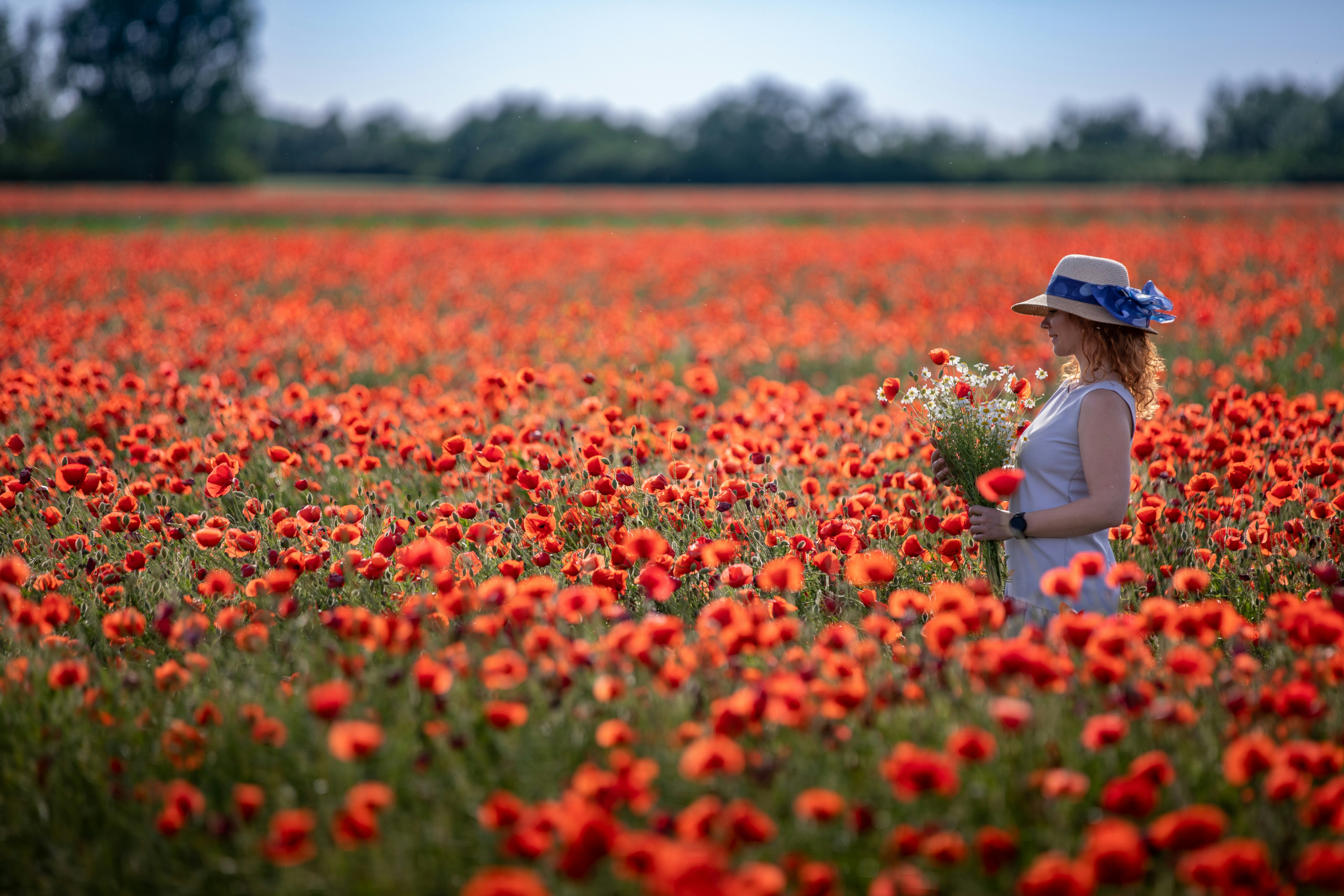 Photo by ovidiugruescu