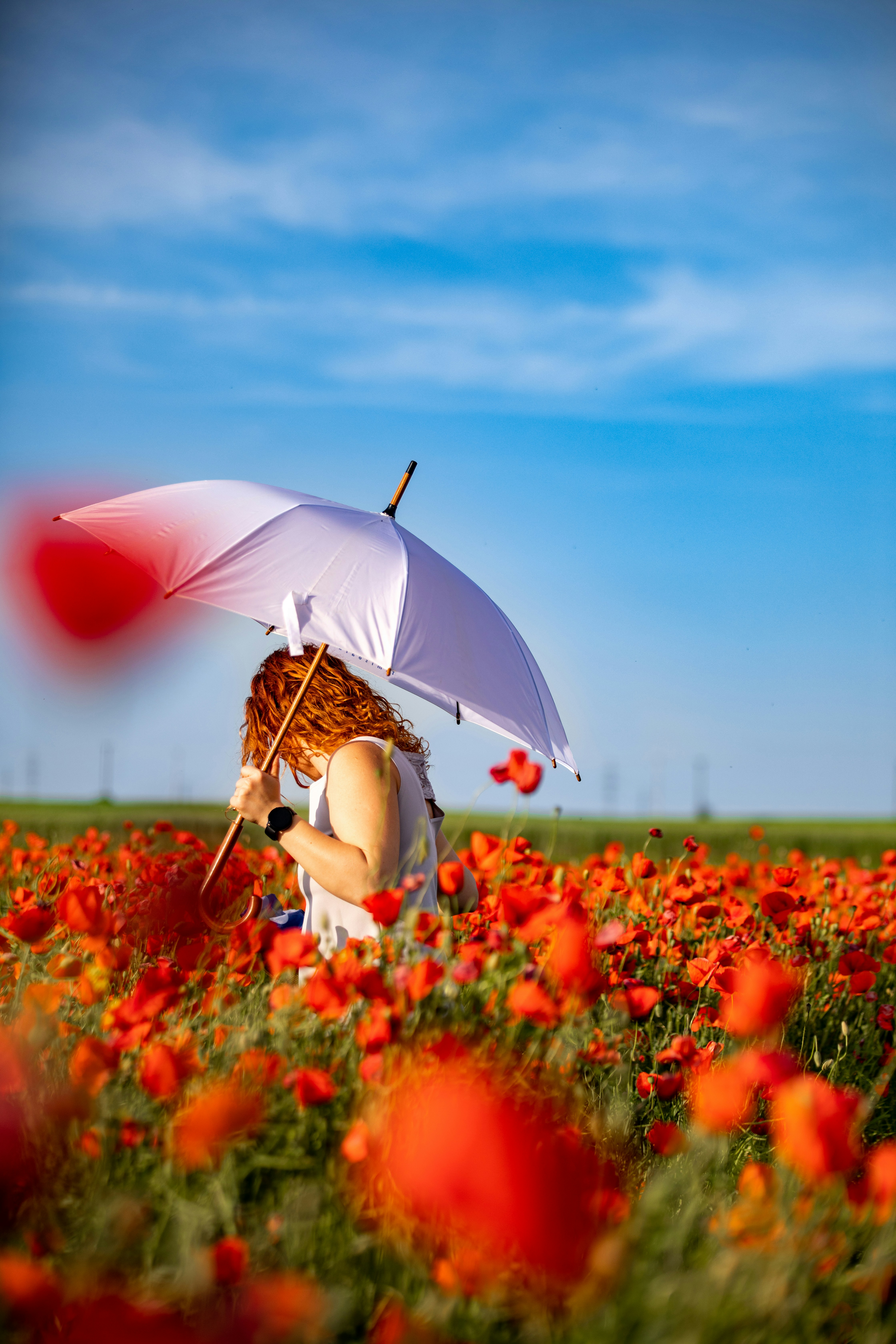 Photo by ovidiugruescu