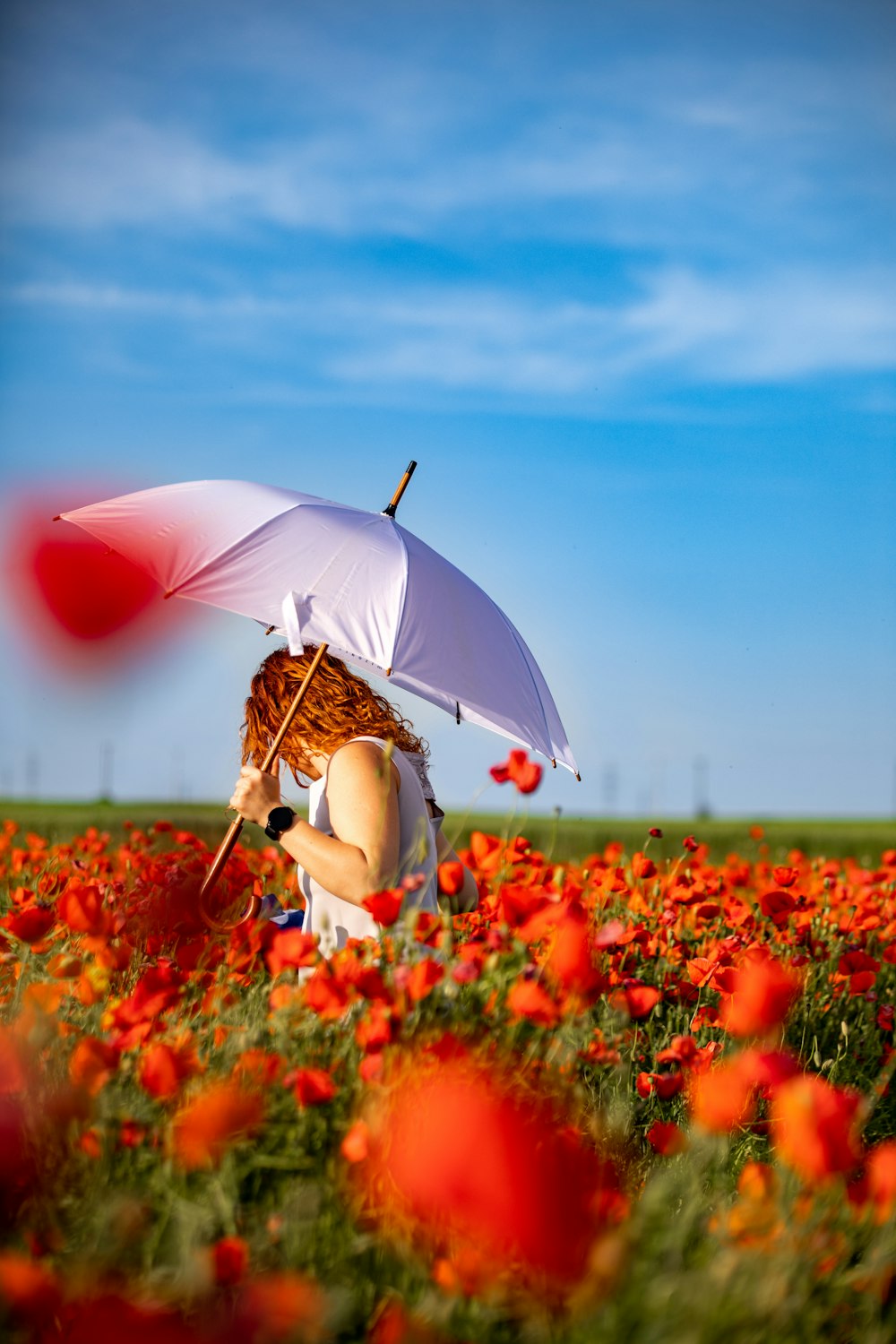 a woman holding an umbrella in a field of flowers