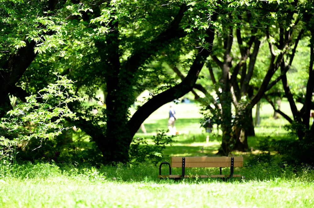 a park bench sitting in the middle of a lush green park
