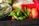 A close-up of a bento box containing a variety of food items. Edamame pods sit in the center, surrounded by sushi rolls partially visible in the background, a bowl of miso soup on the left, and a slice of salmon sashimi on the right. The tray is sectioned into bright red compartments.