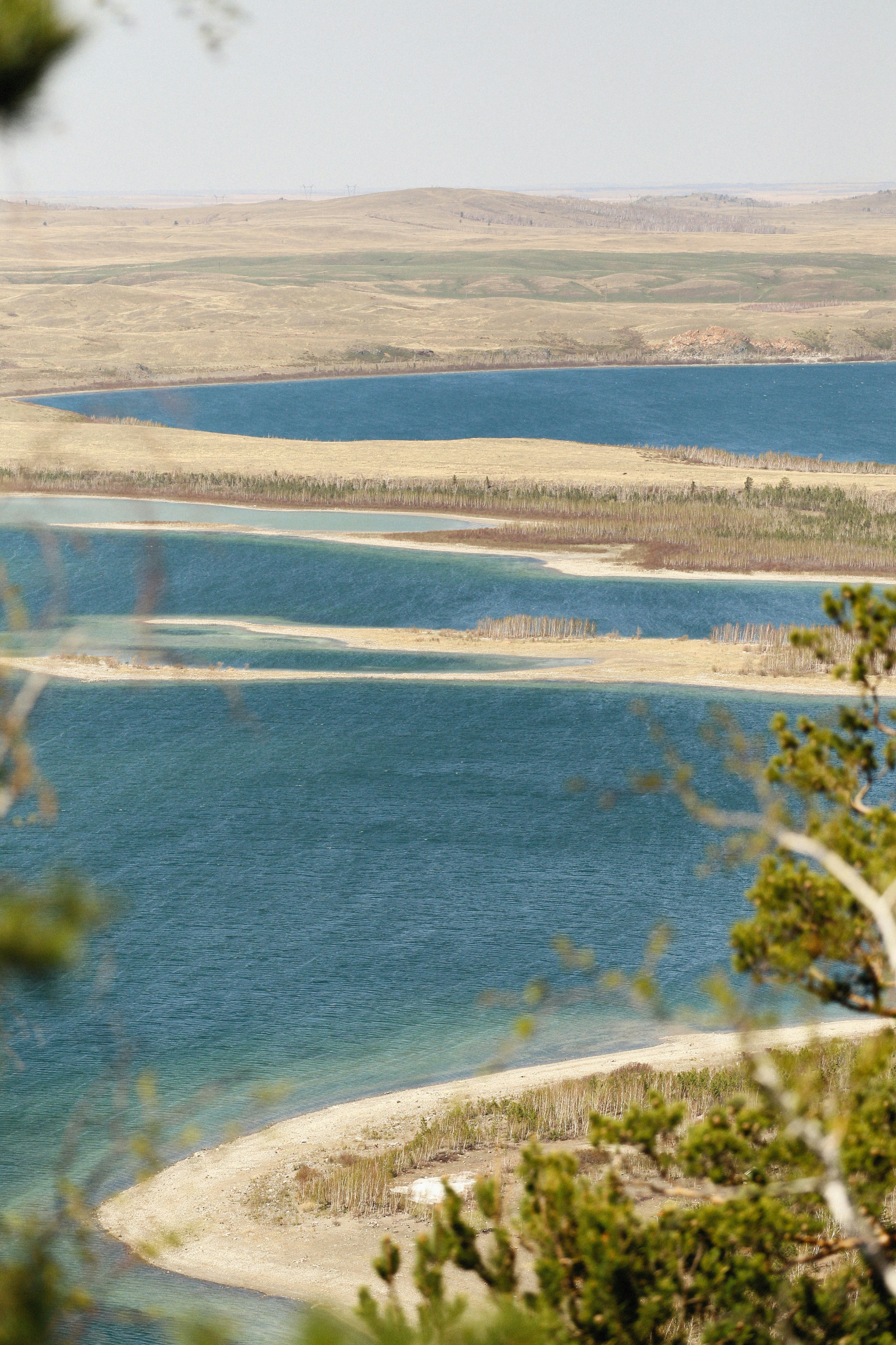 Photo by alexeydemidov