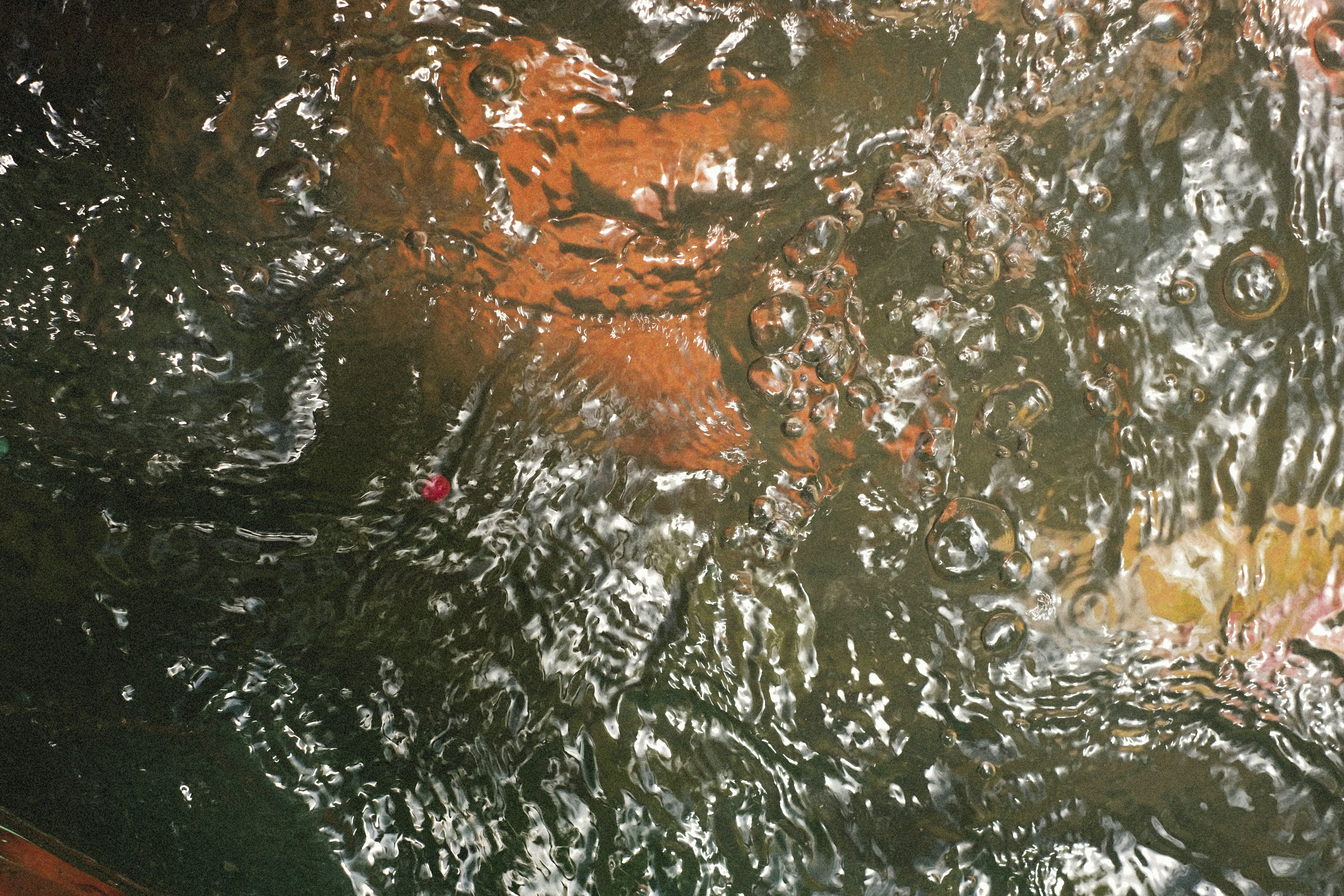 Photo by alexeydemidov