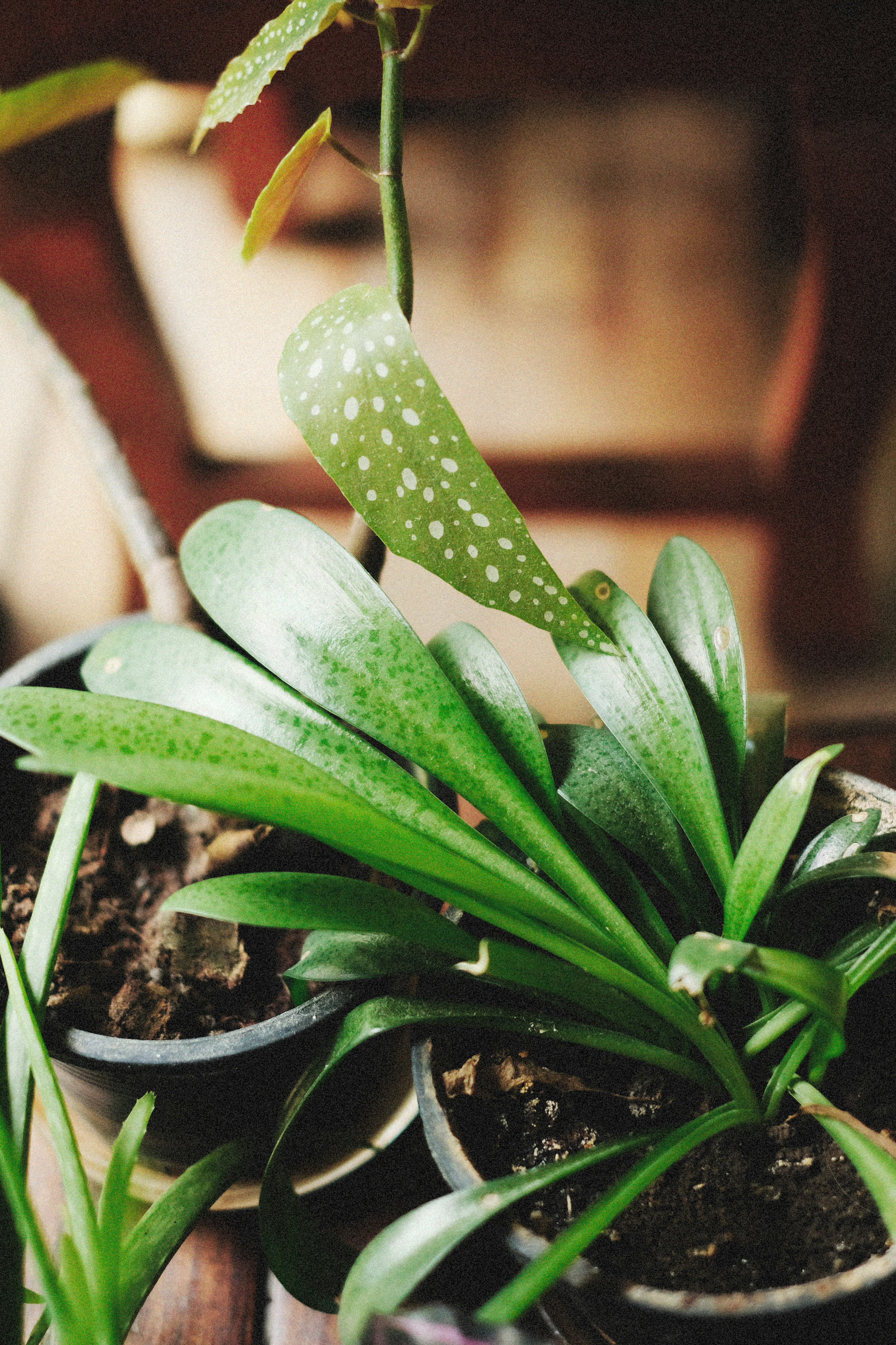 Photo by alexeydemidov