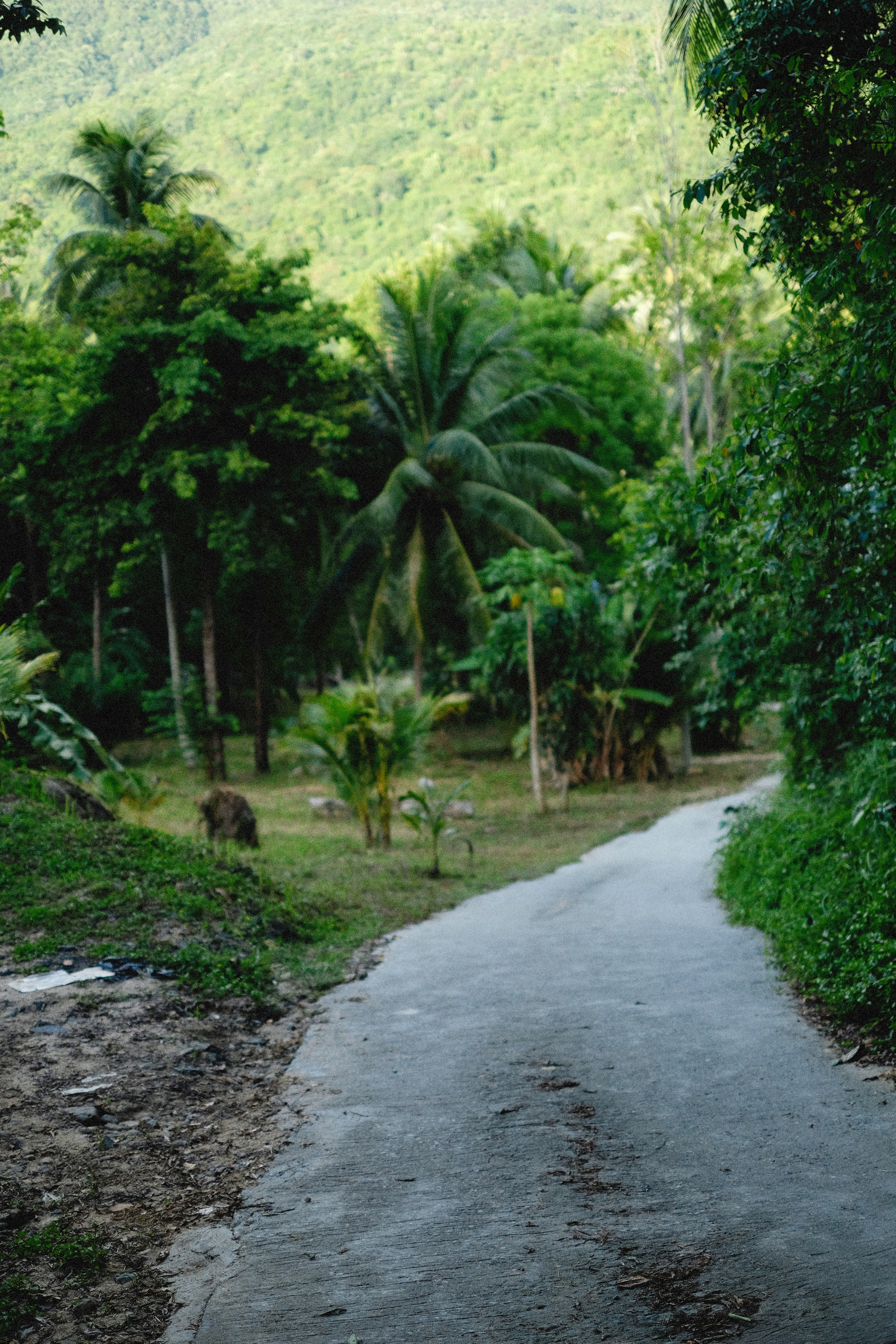 Photo by alexeydemidov