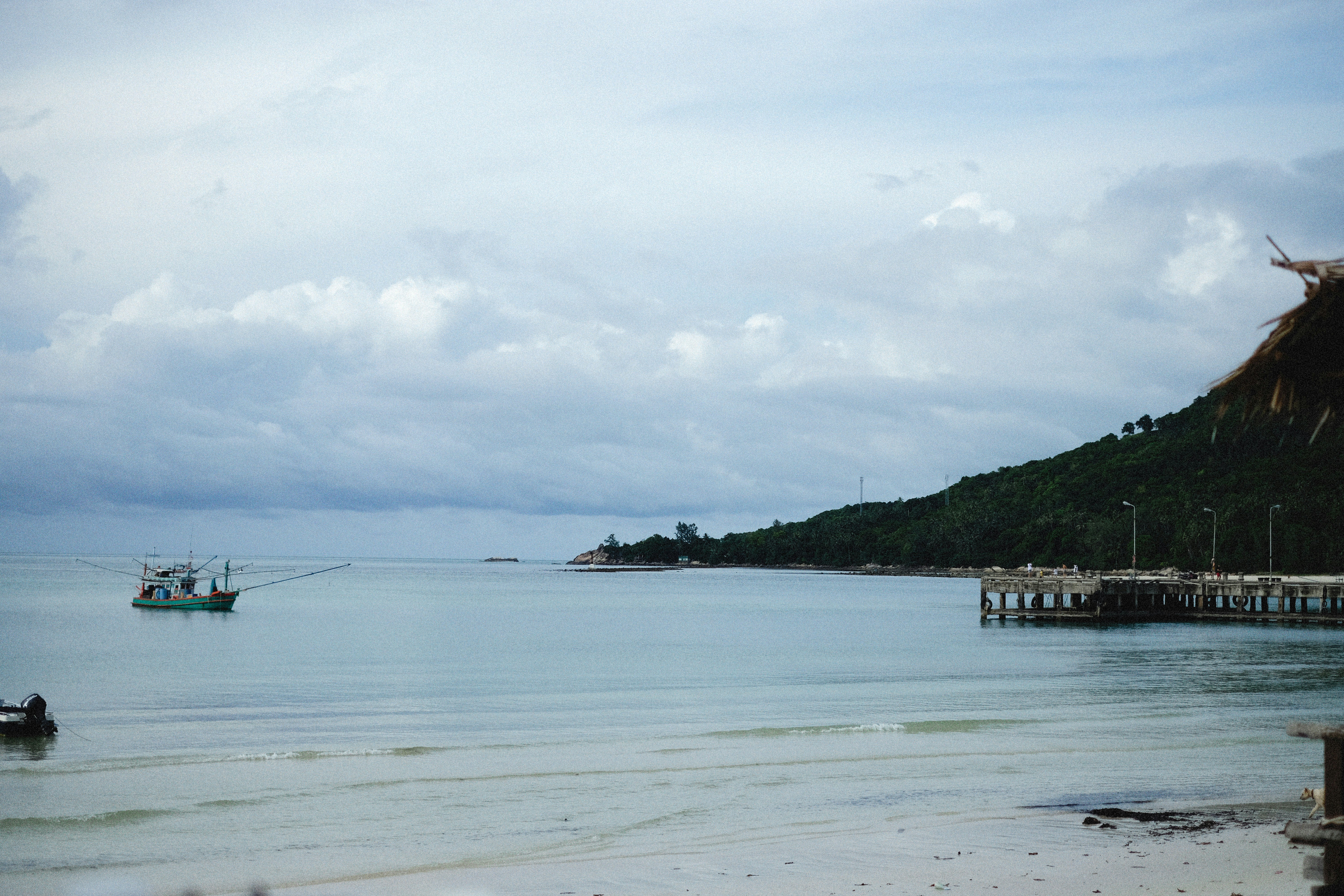 Photo by alexeydemidov