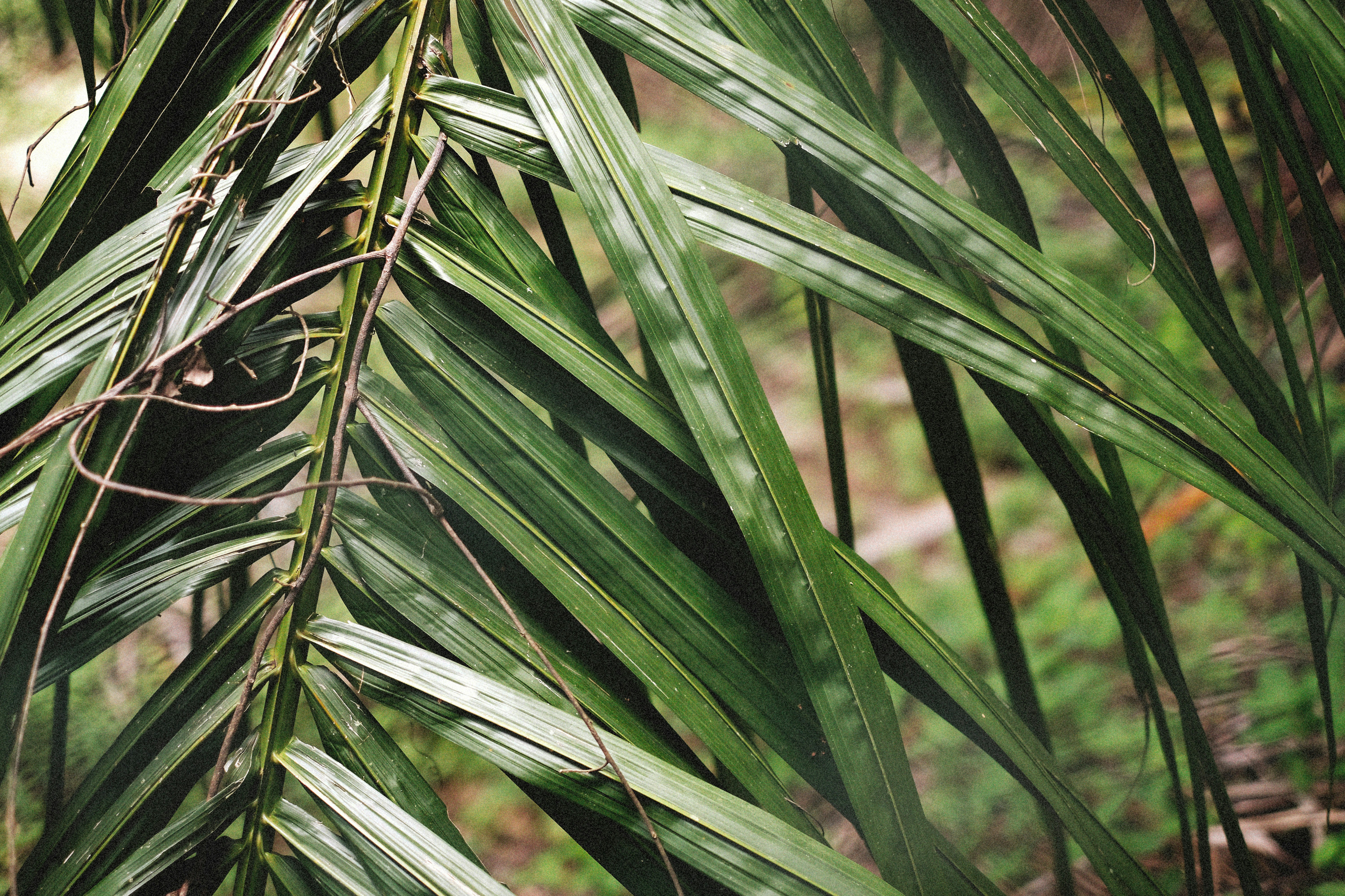 Photo by alexeydemidov