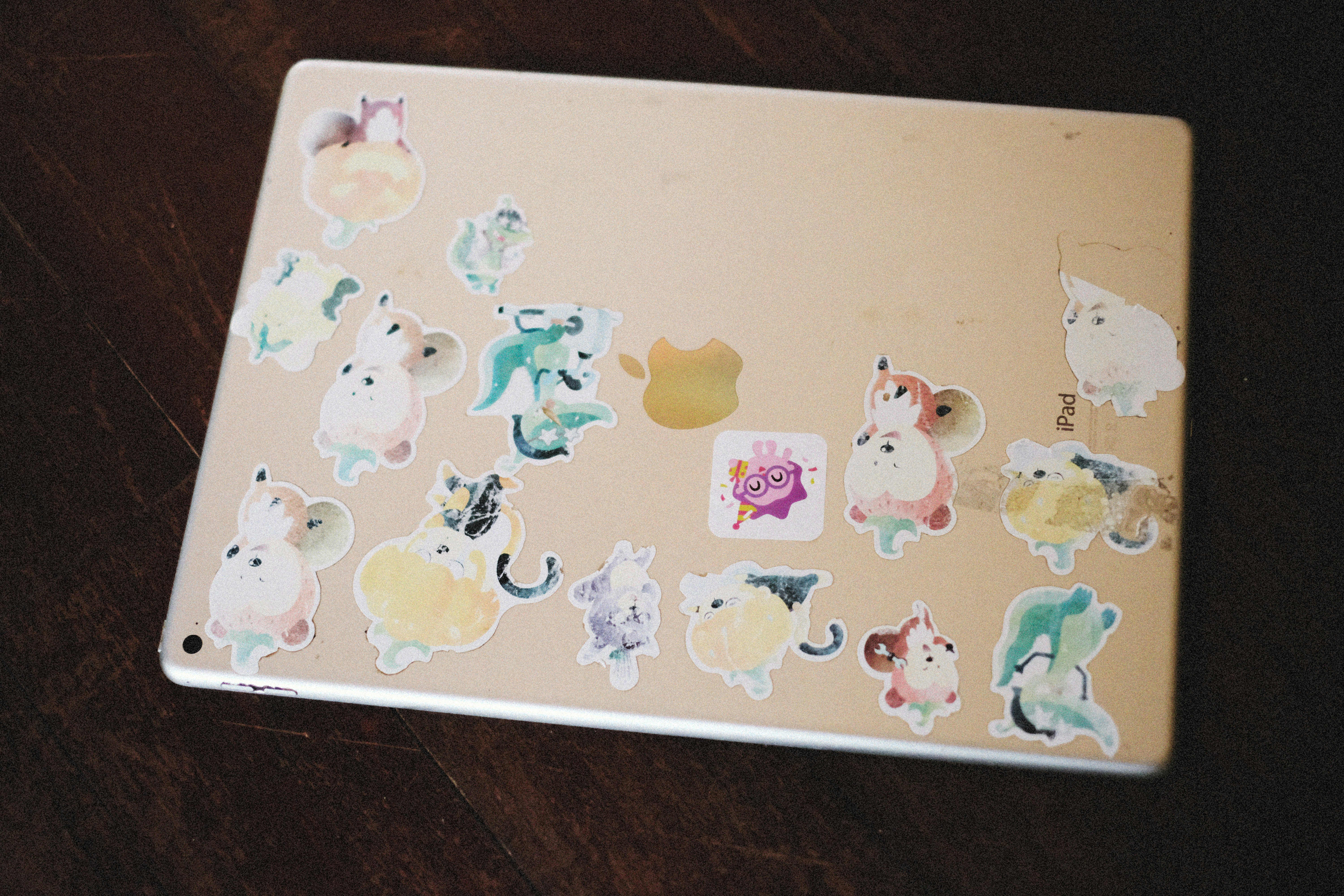 Laptop with stickers