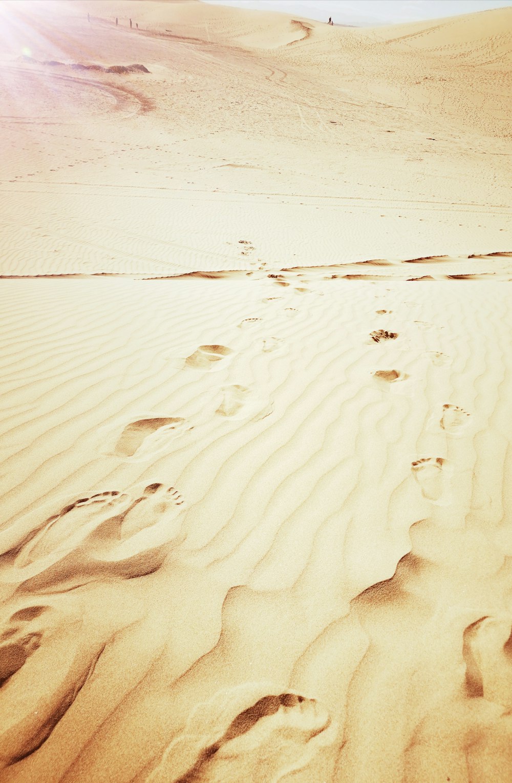 footprints in the sand on a sunny day