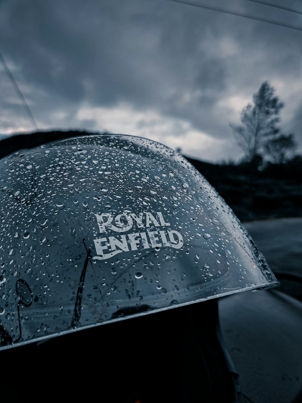 a person with a rain covered umbrella on a rainy day