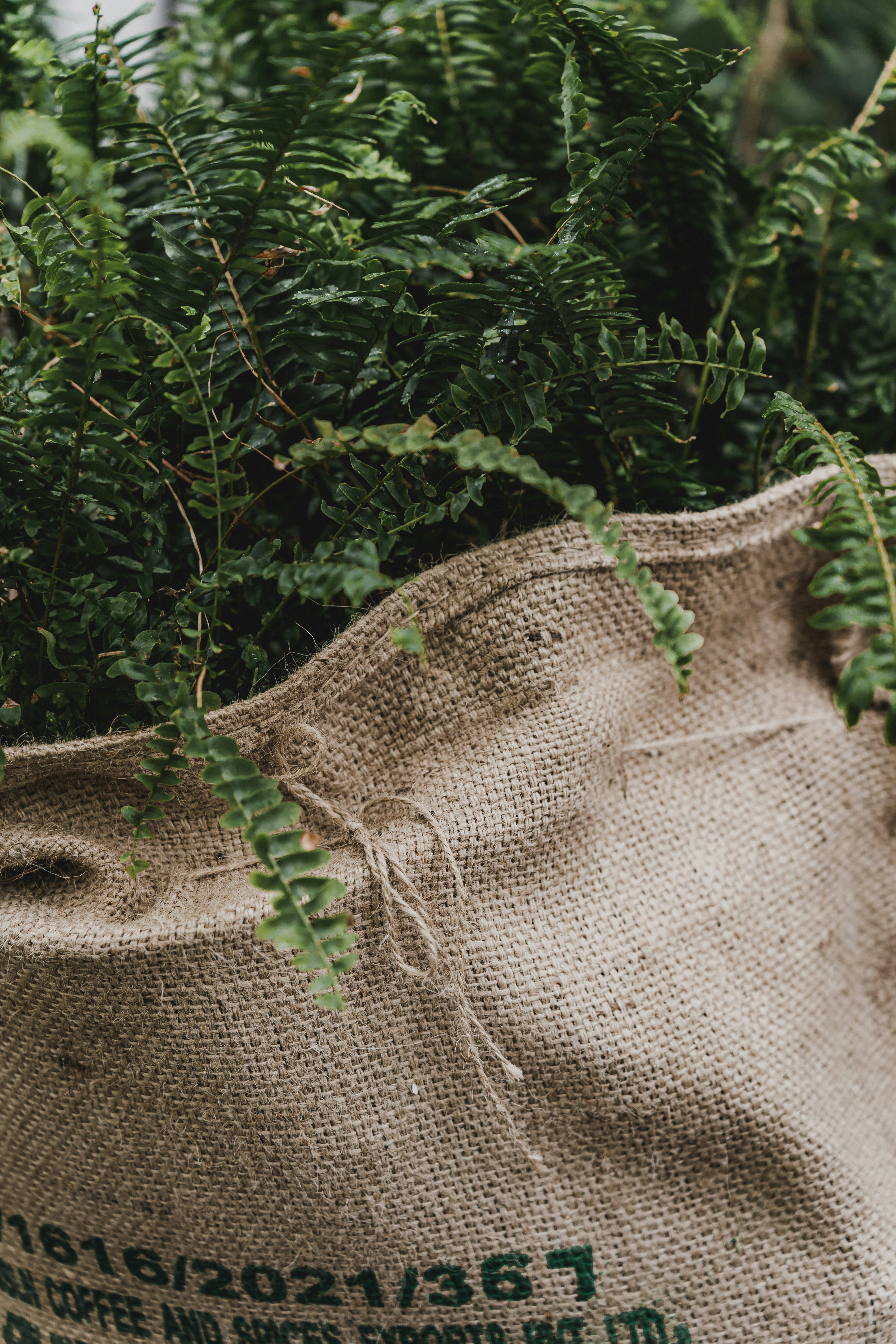 Close-up of a breathable fabric grow bag wall showing the porous texture that allows moisture to evaporate through all sides