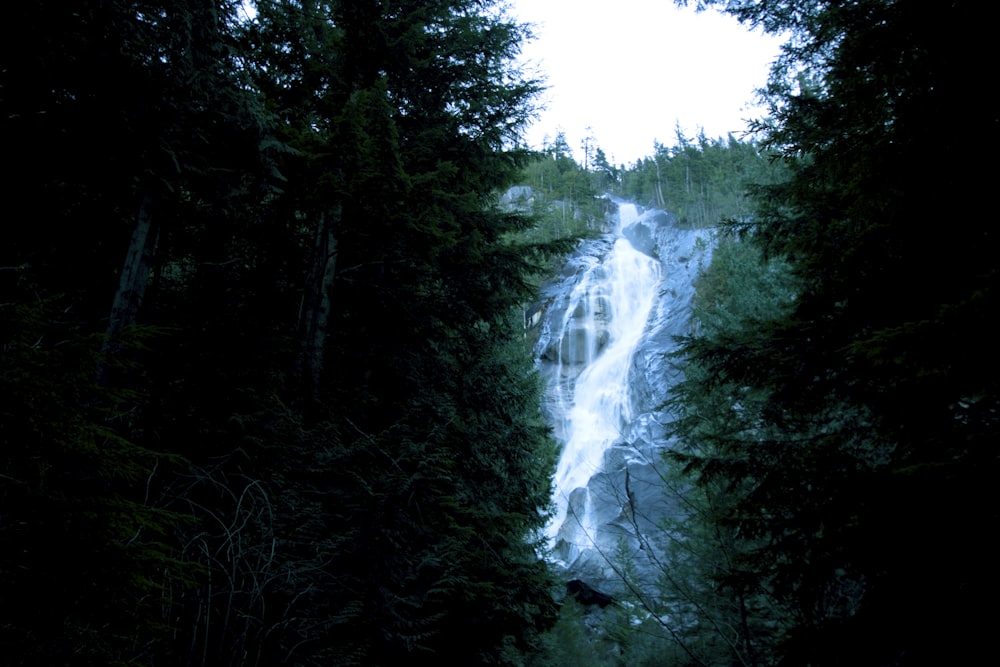 a tall waterfall surrounded by trees in a forest