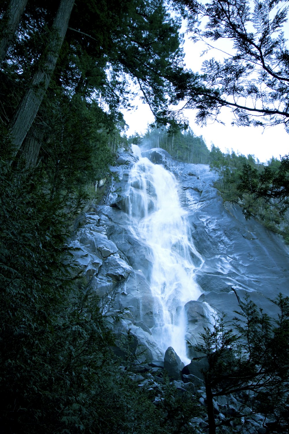 Una cascada muy alta en medio de un bosque