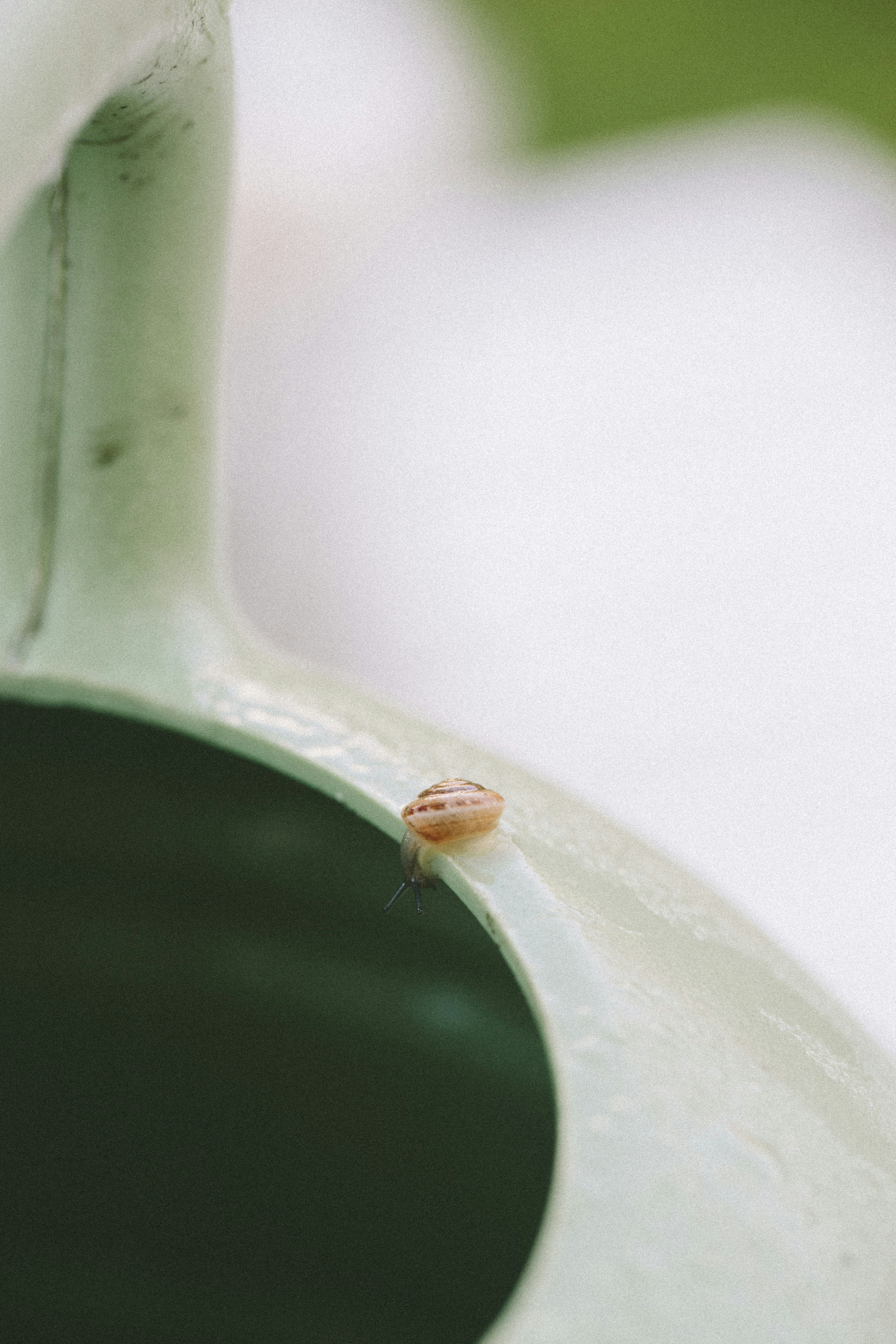 Photo by norph_visuals