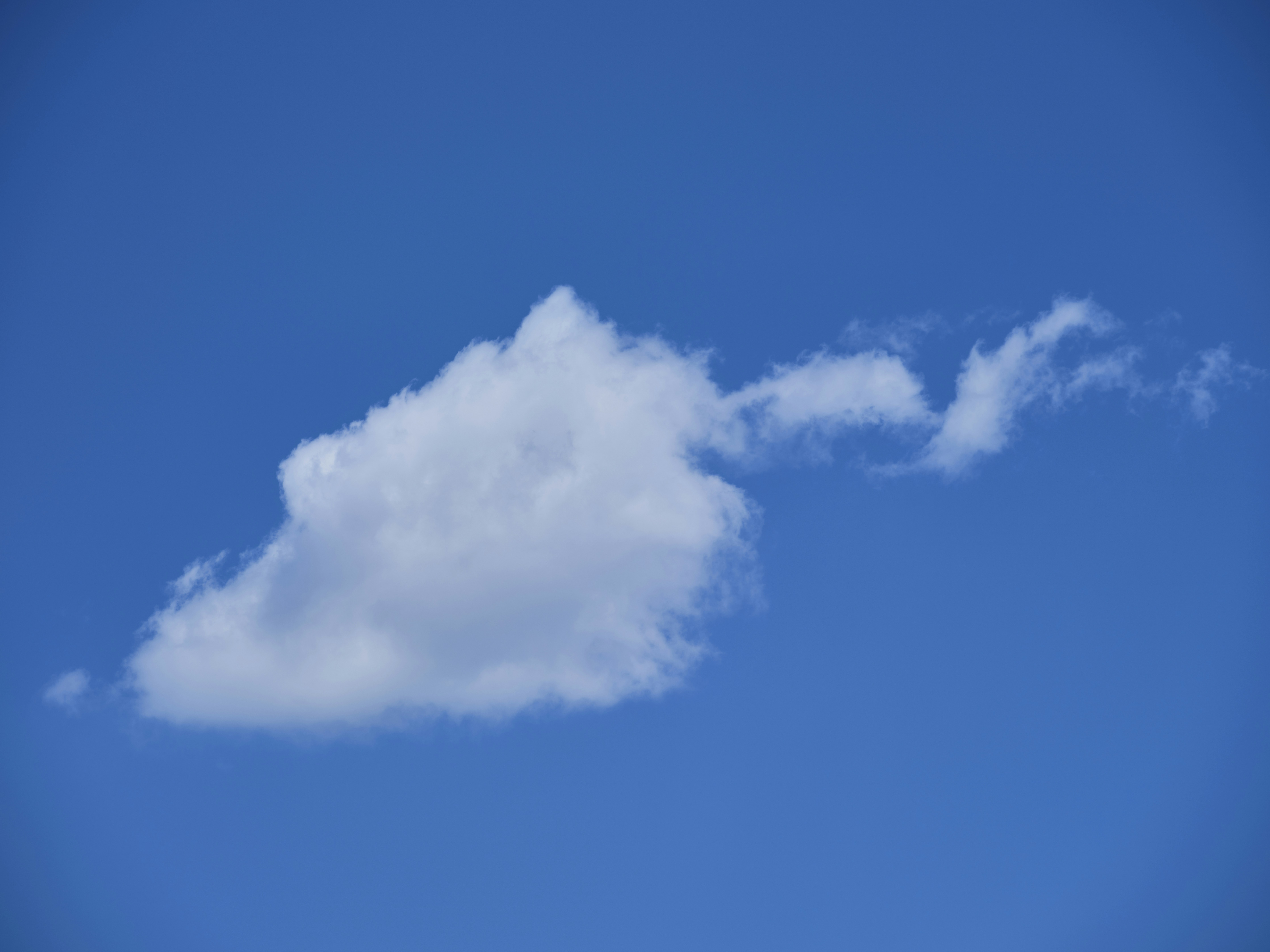 Photo by enginakyurt