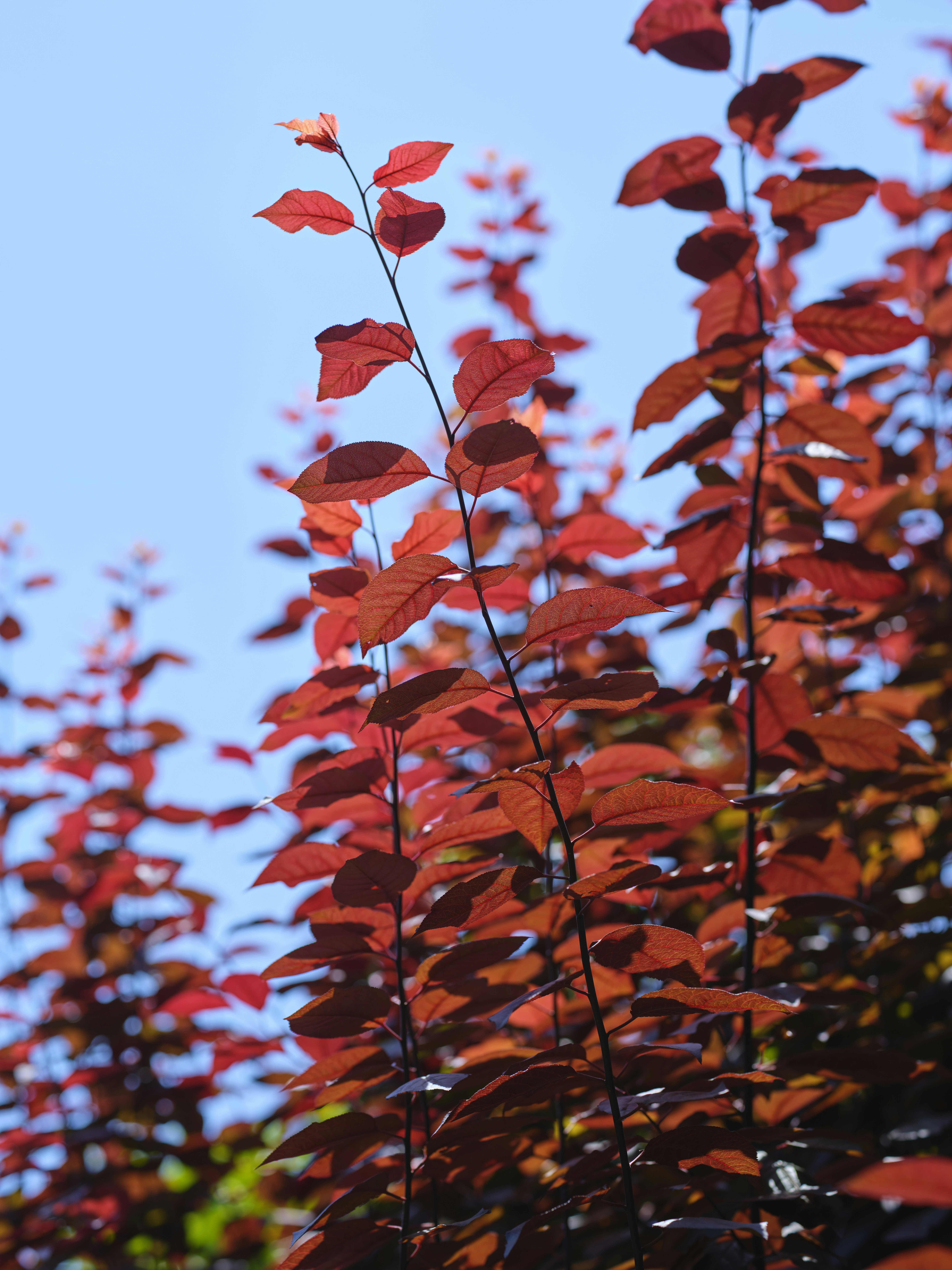 Photo by enginakyurt